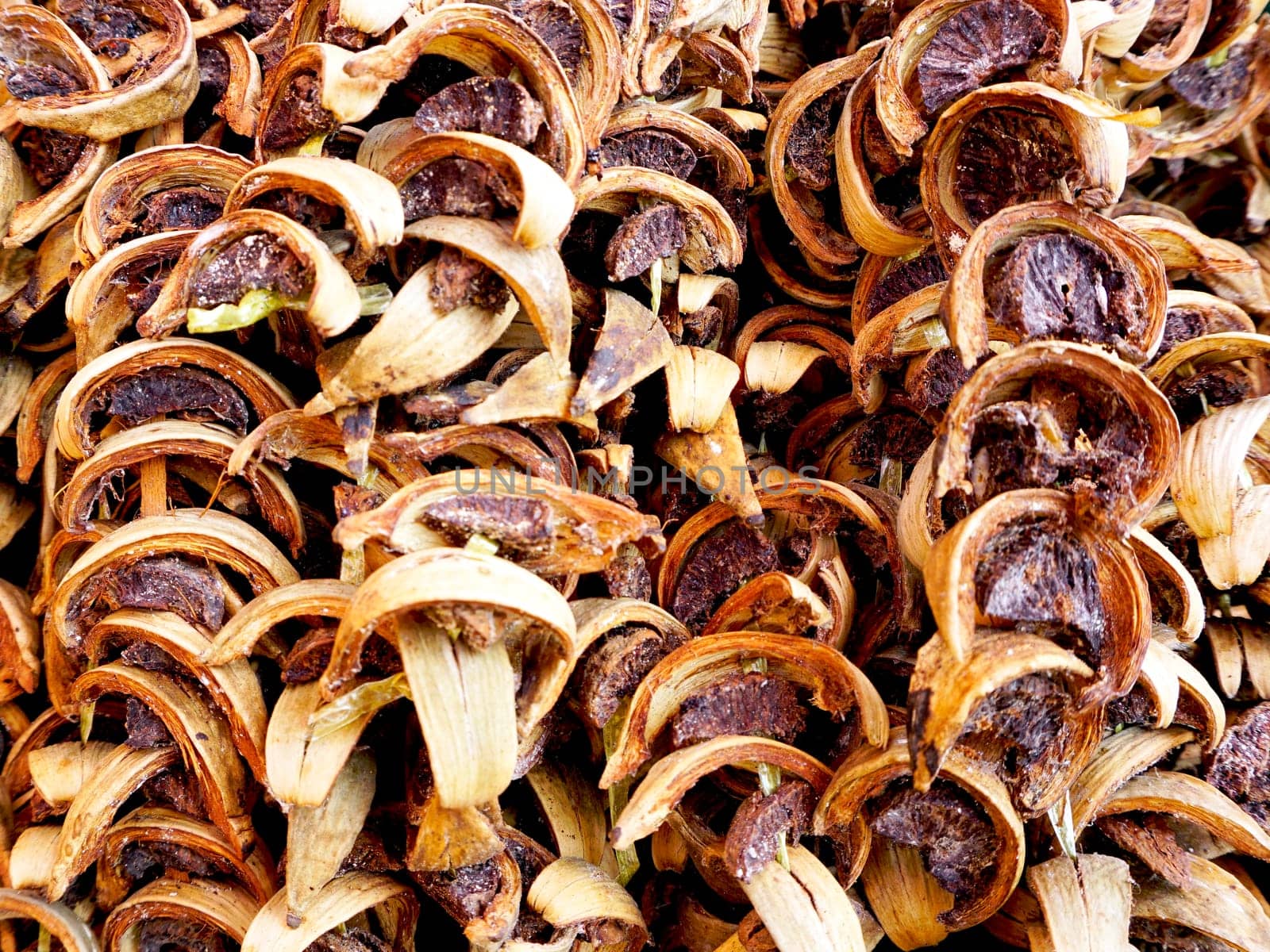dry Betel nuts thai texture background in thailand