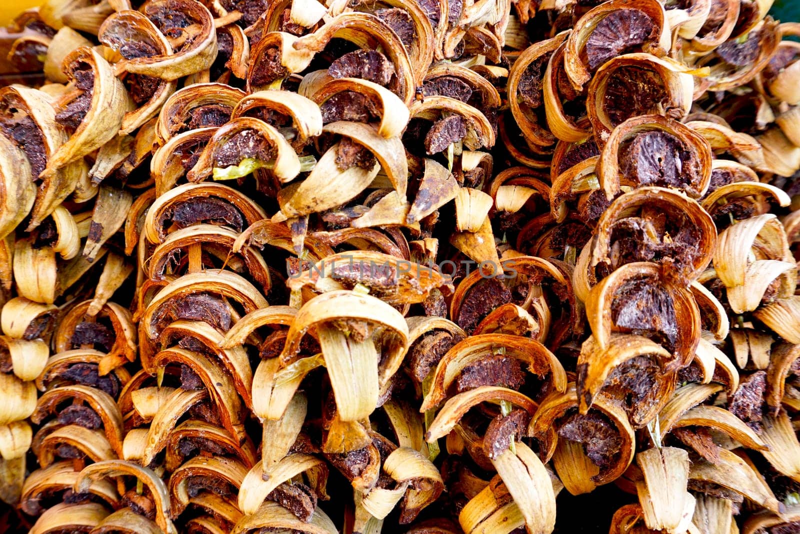 dry Betel nuts thai texture background in thailand