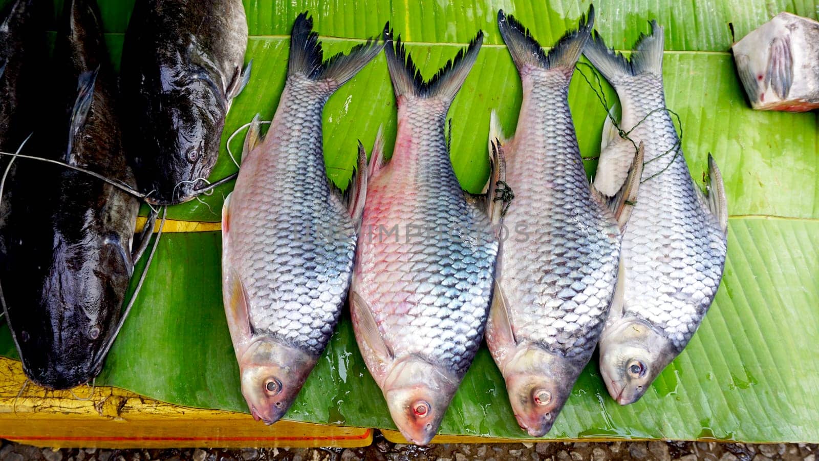 big fish on banana leaf in fresh market Luang Prabang, Laos