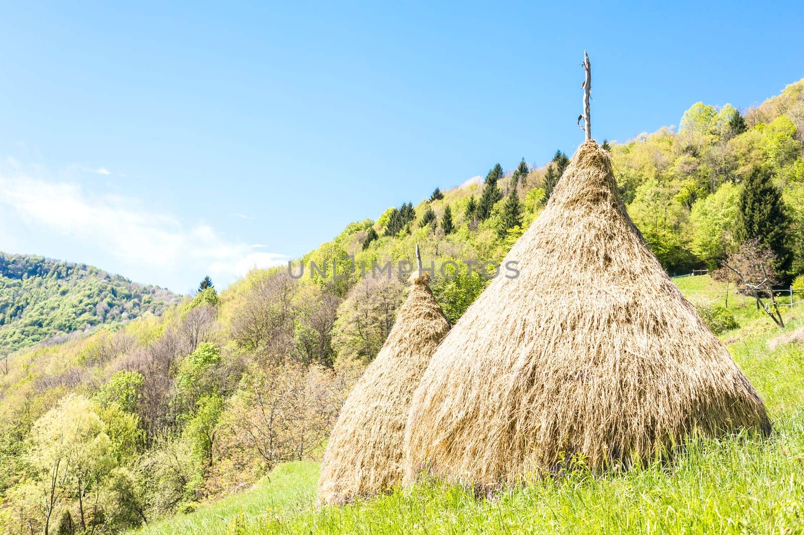 Rural landscape. Traditional haystack of mountain villages in Italian Alps.