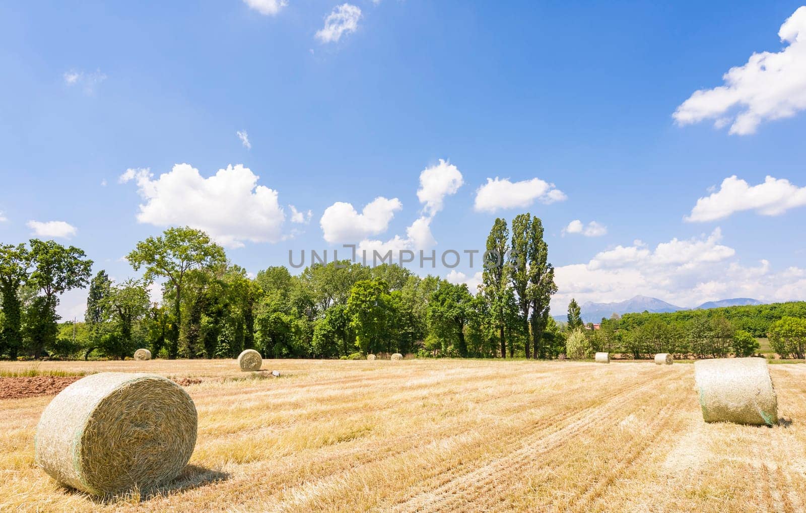 Rural landscape.Harvested field with straw bales in summer.
