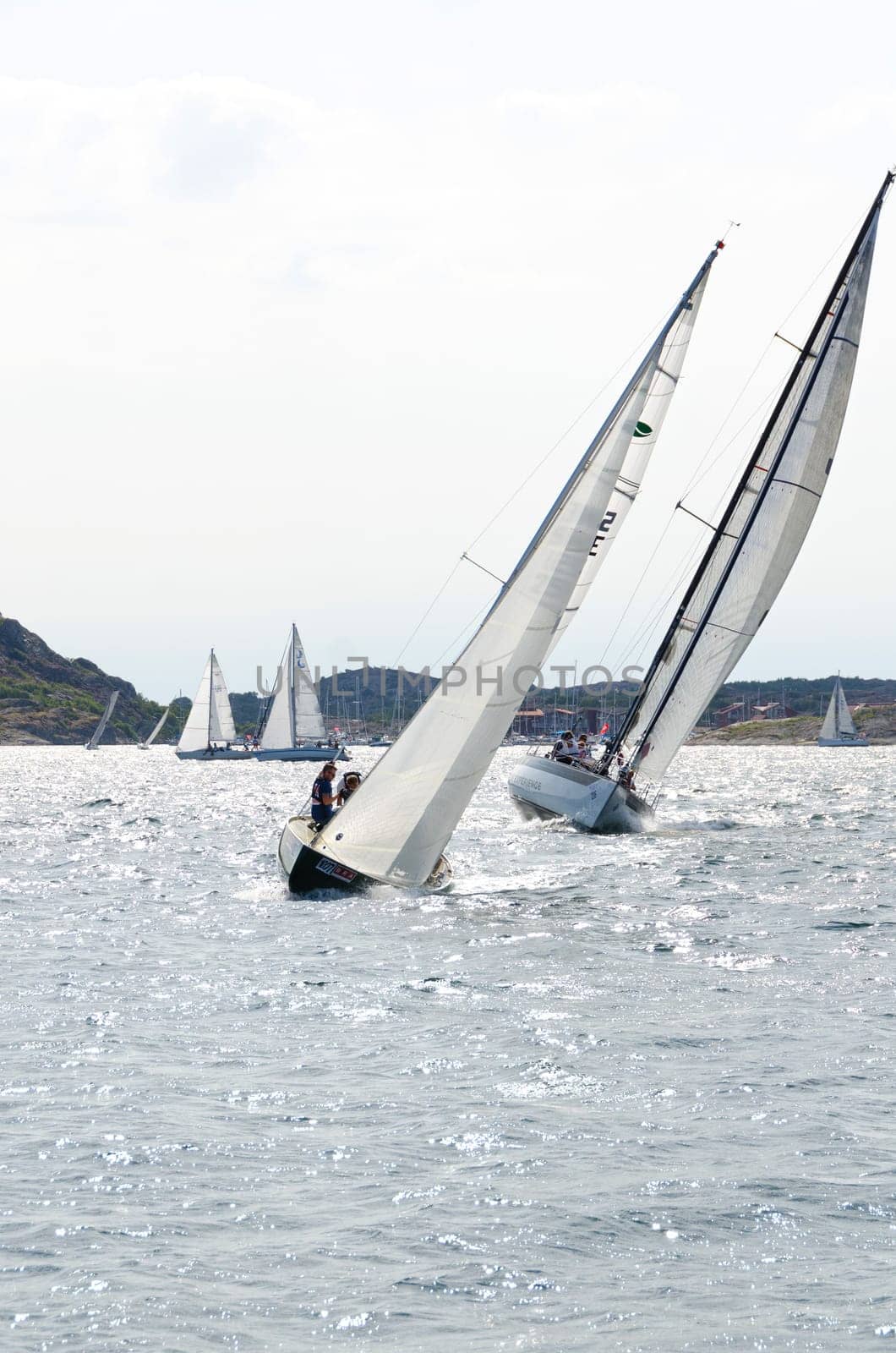 one sail competition on swedish westcoast little action on the sea.2015-08-15