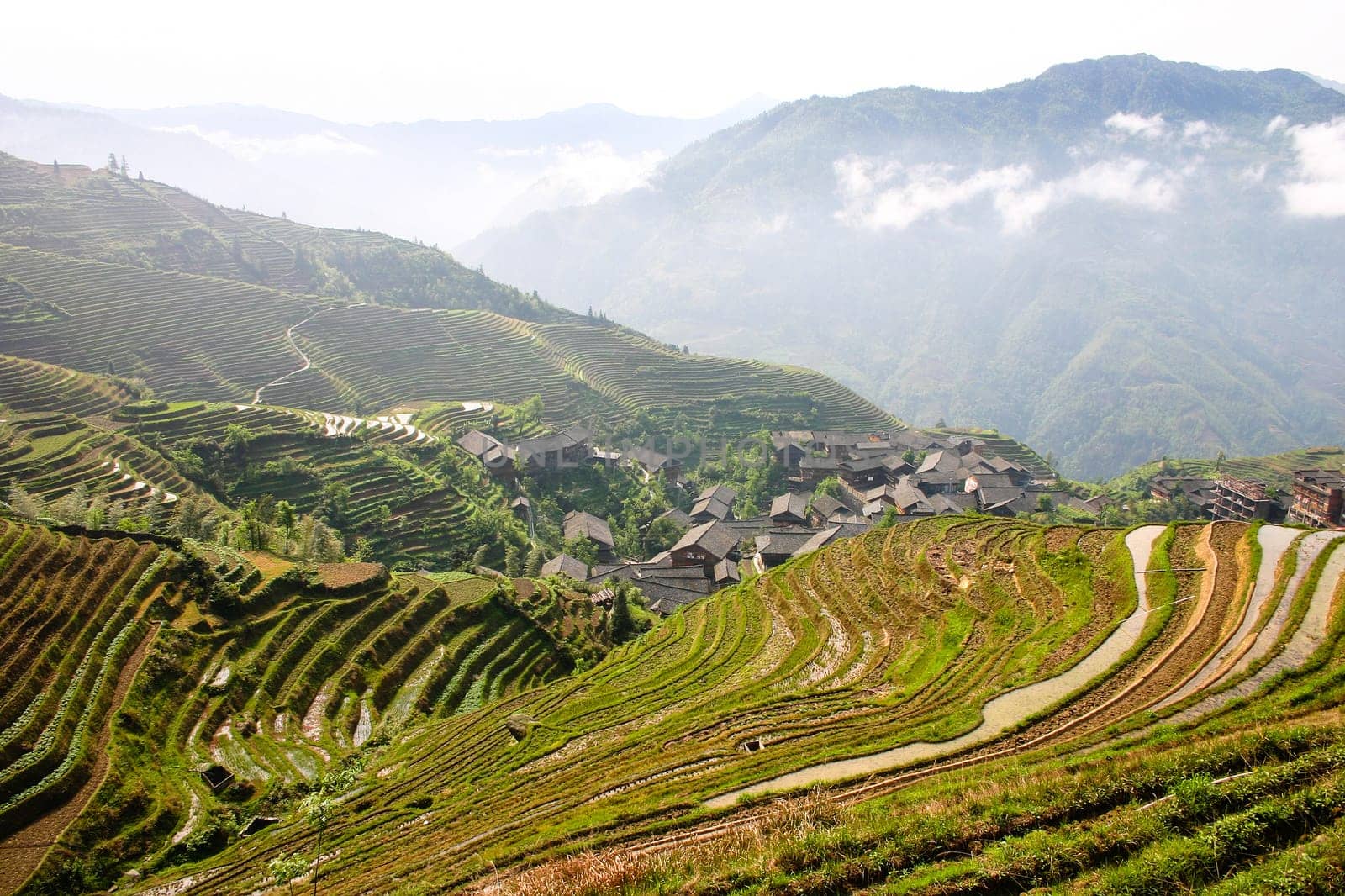 The Longji Rice Terraces located next to the village of Ping'an in China