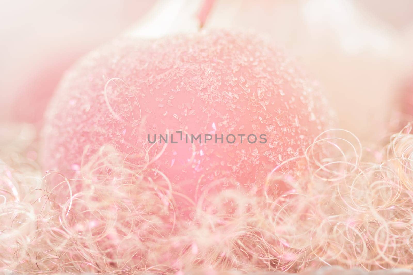 Wax apple
