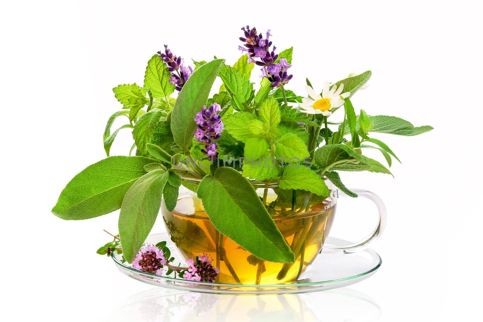 Fresh herbs for tea