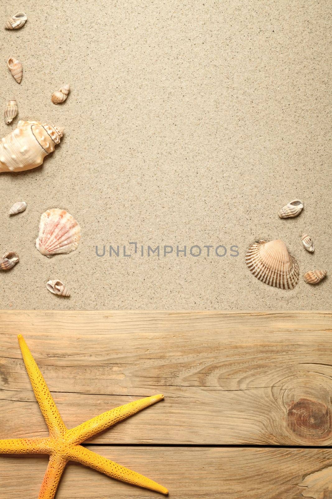 summer concept with yellow starfish and shells on sandy beach