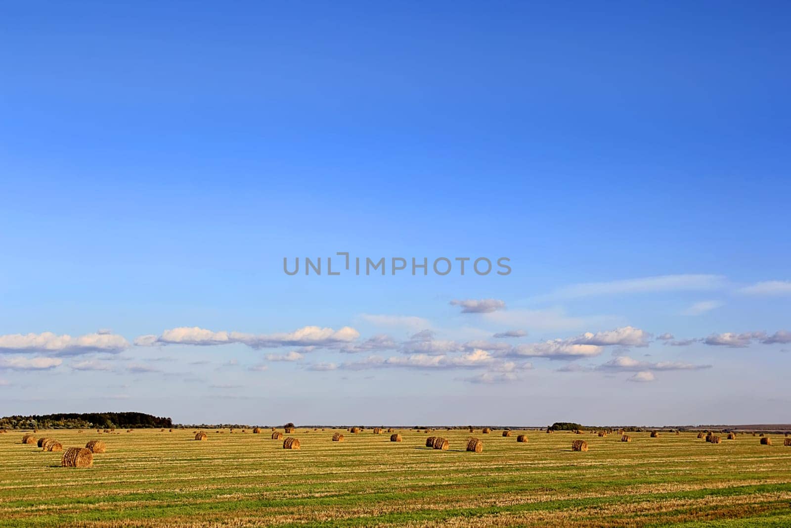 Summer landscape with hay, field and blue sky