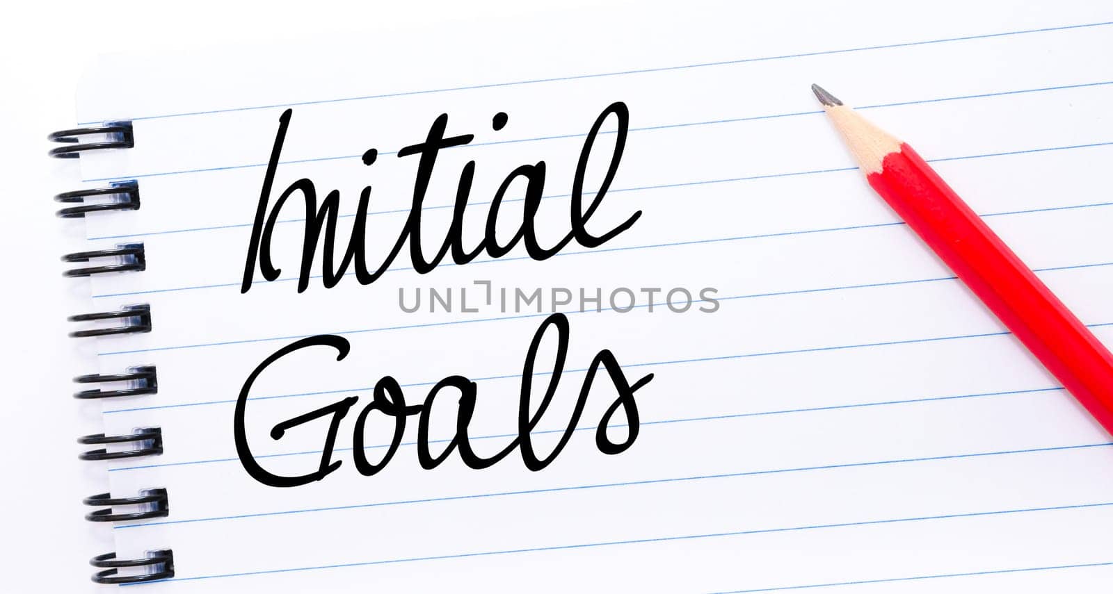 Initial Goals written on notebook page with red pencil on the right