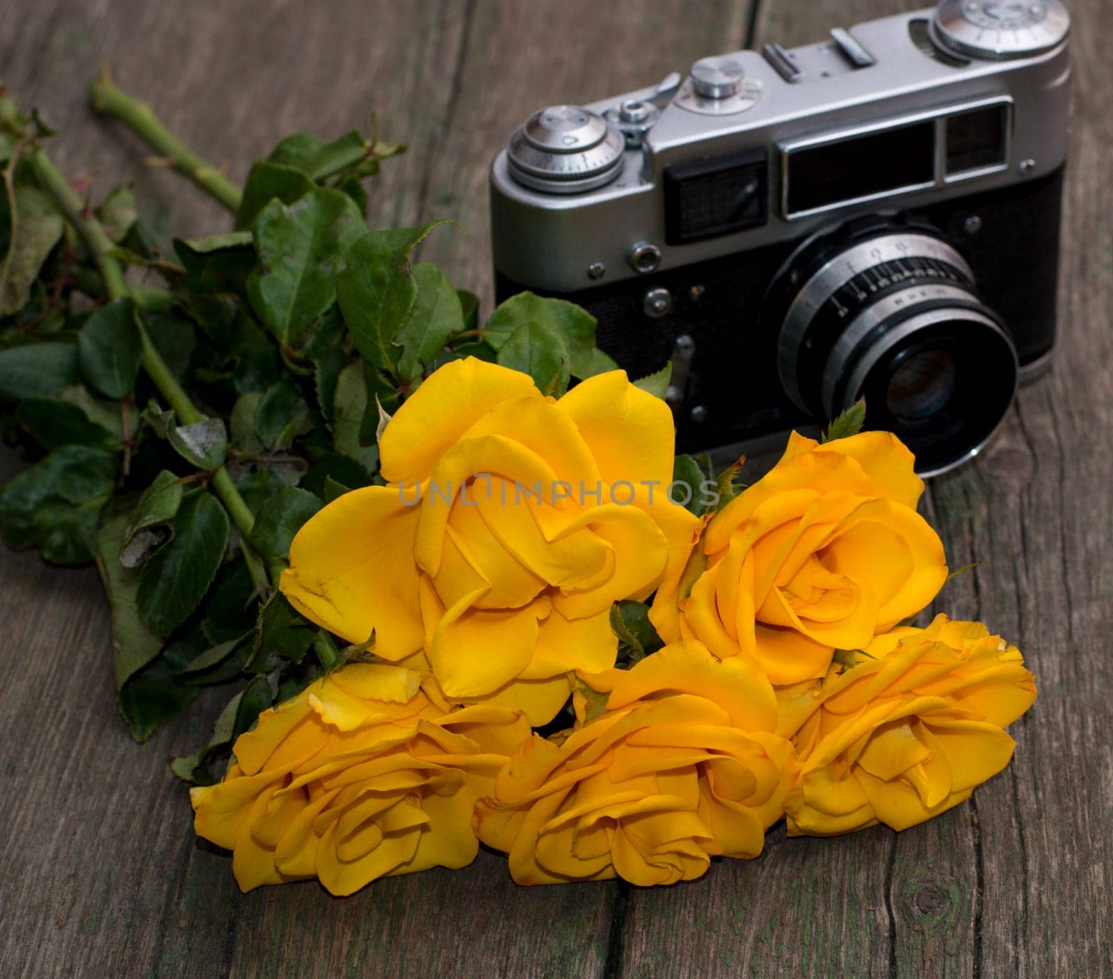 bouquet of beautiful yellow roses and the old camera on a wooden background, a still life, a festive card, a retro the image