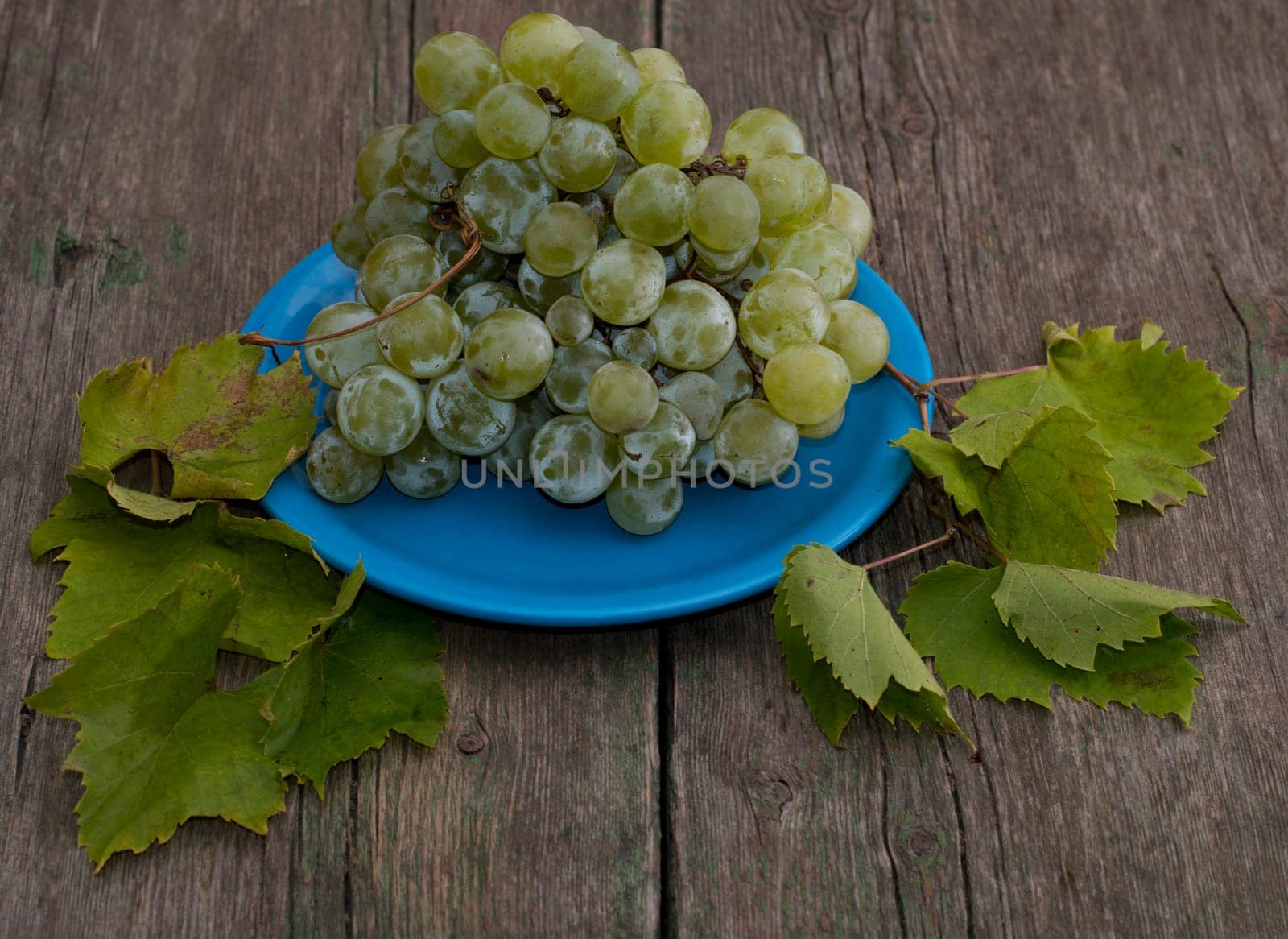still life grapes on a blue plate and branches of leaves, a subject summer fruit