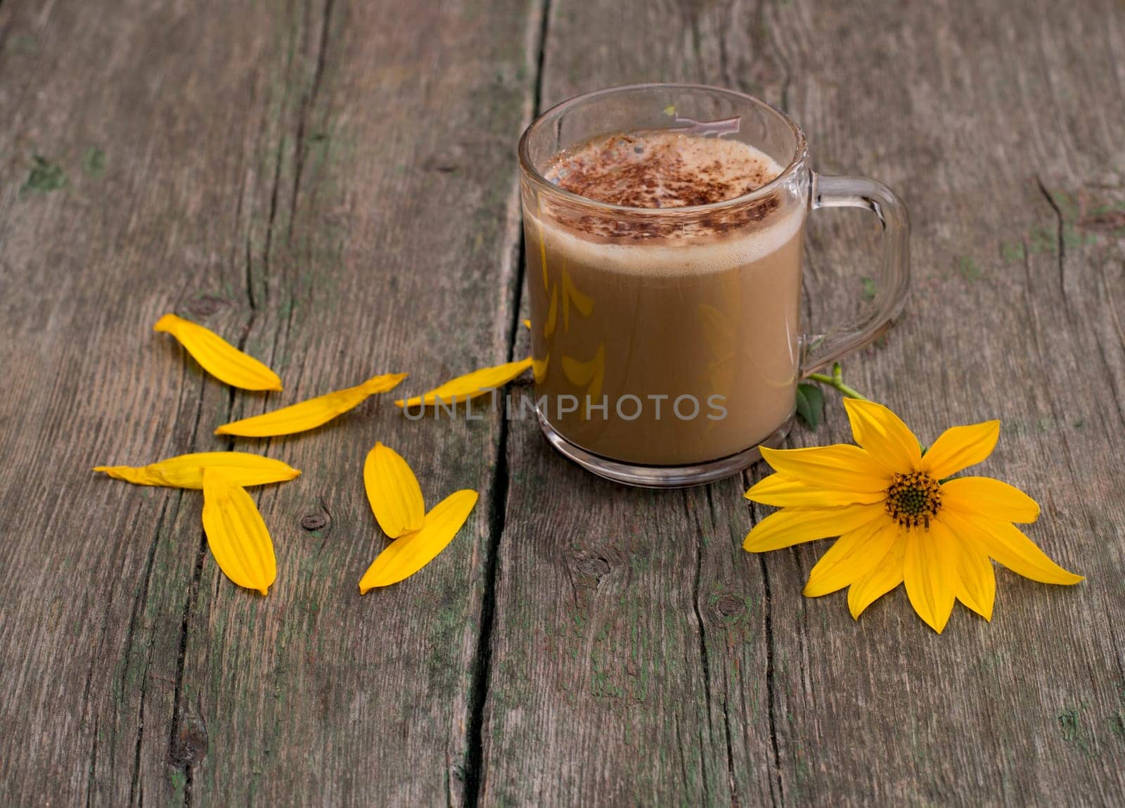 transparent mug with a cappuccino, a yellow flower and petals, a still life, on a wooden table, a subject flowers and drinks