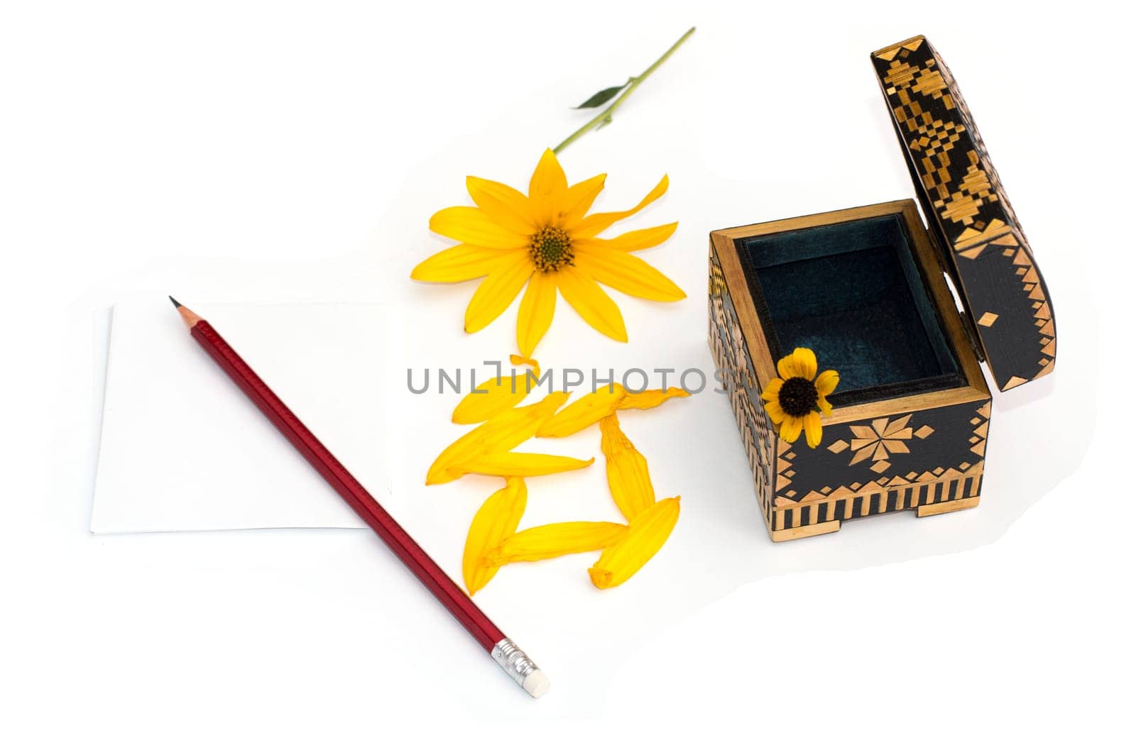 still life an open casket, a yellow flower, petals and a pencil with paper, isolate, a subject subjects and flowers
