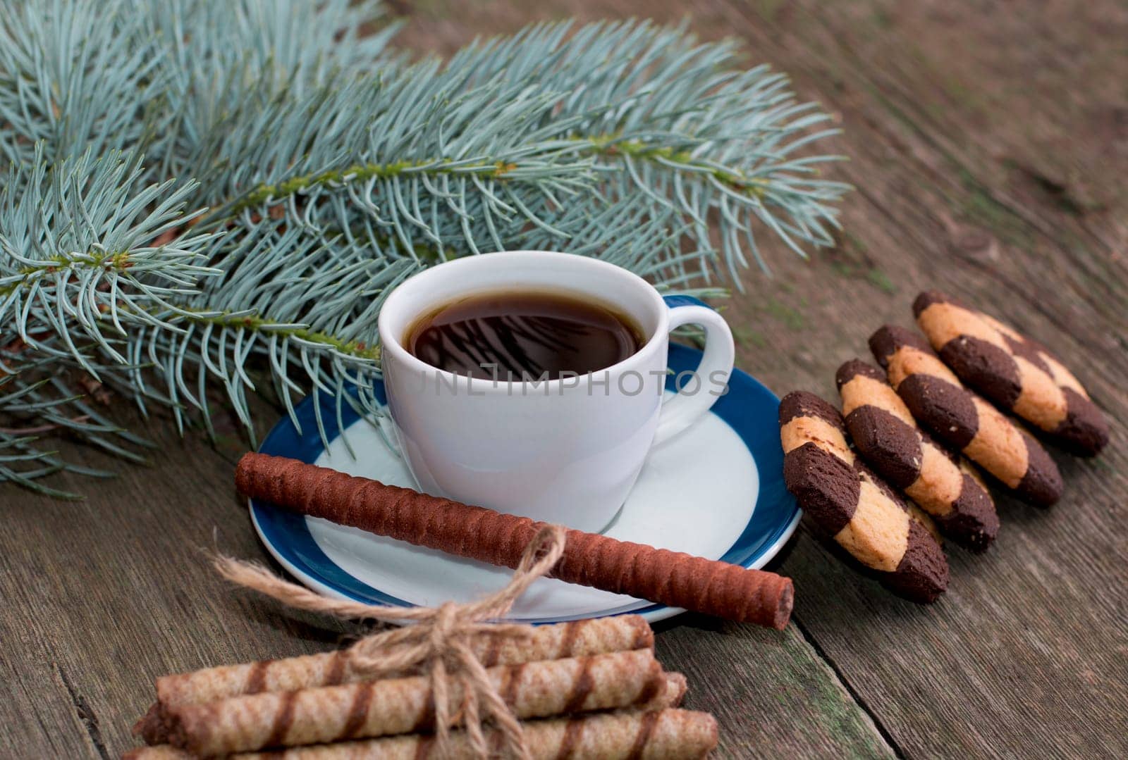 coffee, fir-tree branch and two groups of beautiful cookies, subject holidays Christmas and New Year