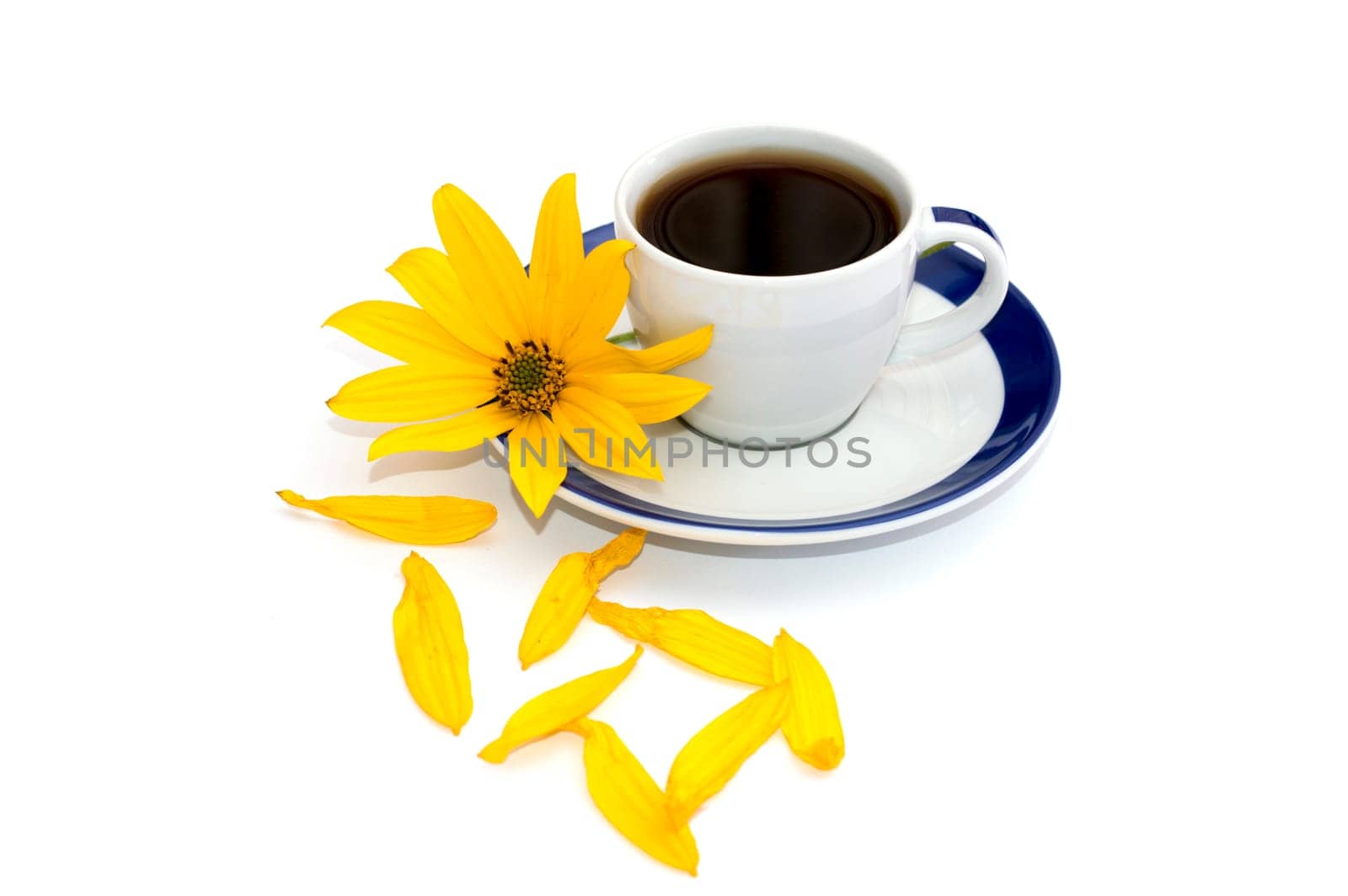 still life cup of coffee, yellow flower and nearby petals, isolate, subject flowers and drinks