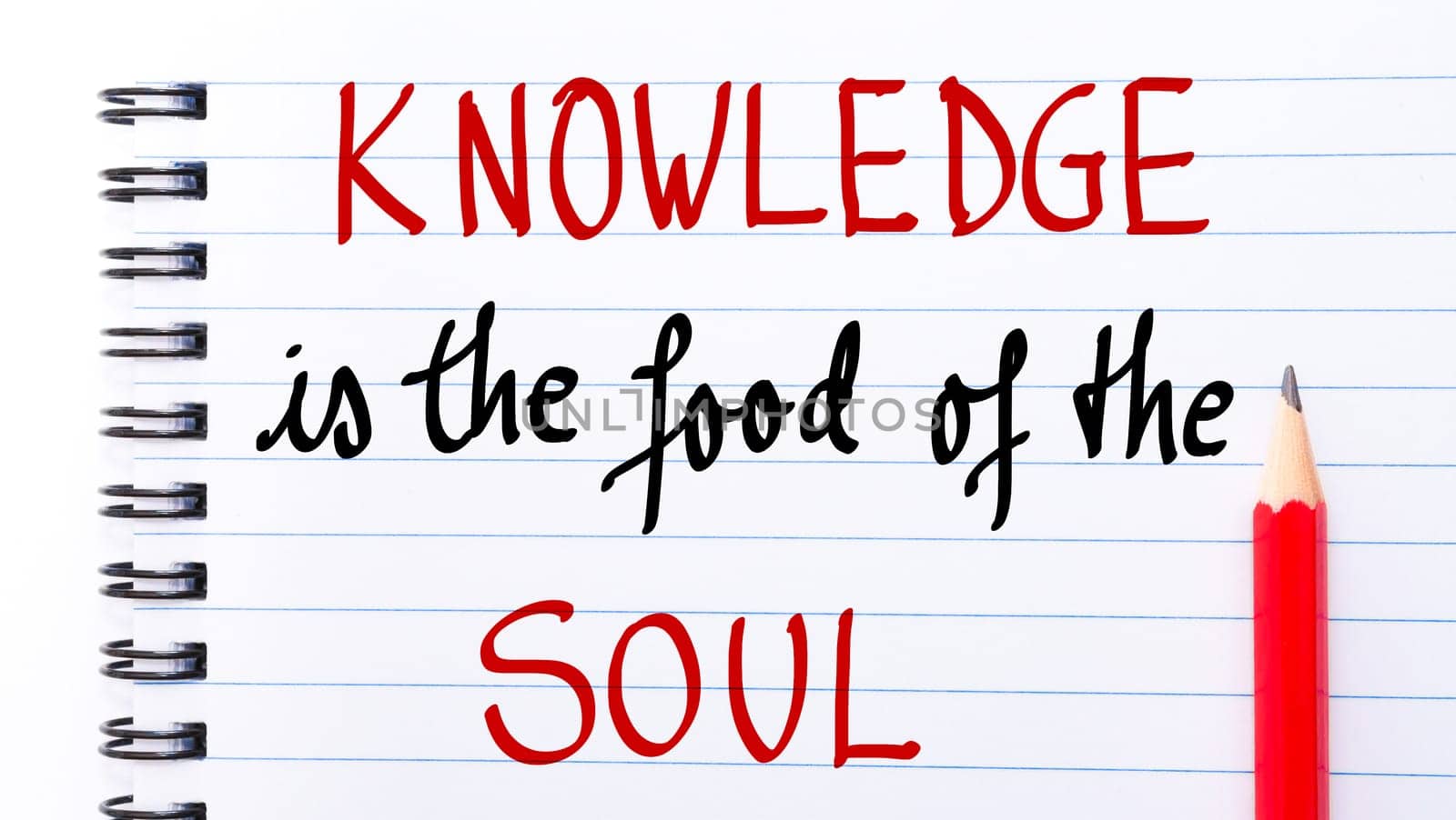 Knowledge is the Food of the Soul written on notebook page with red pencil on the right