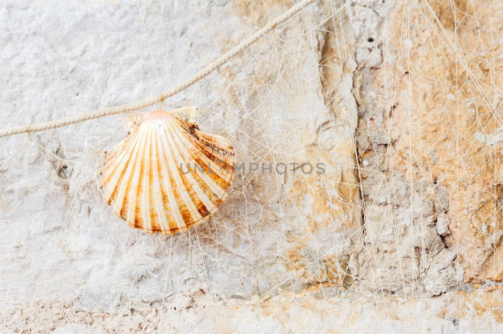 Fishing net with sea shells and copy space.