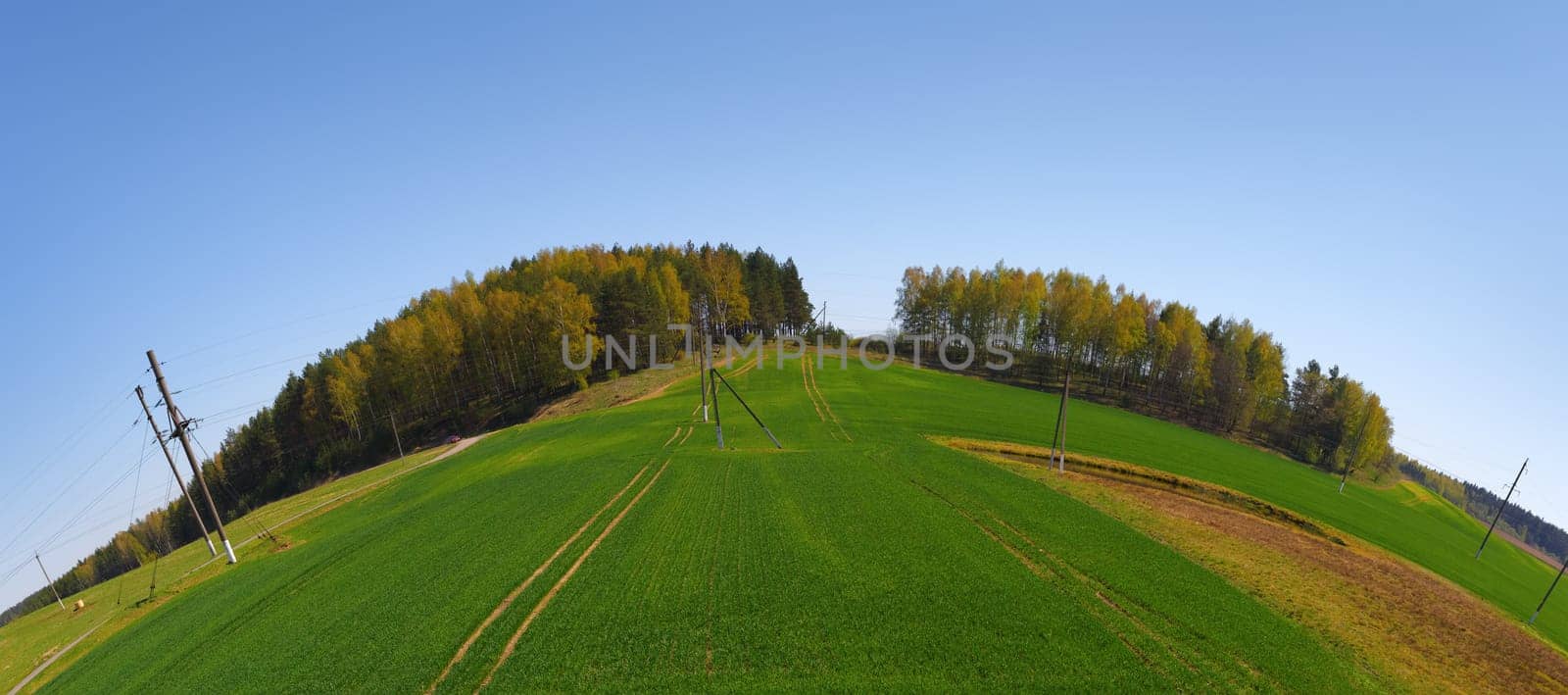 Landscape with blue sky, green field and forest on the horizon. Fish-eye effect.