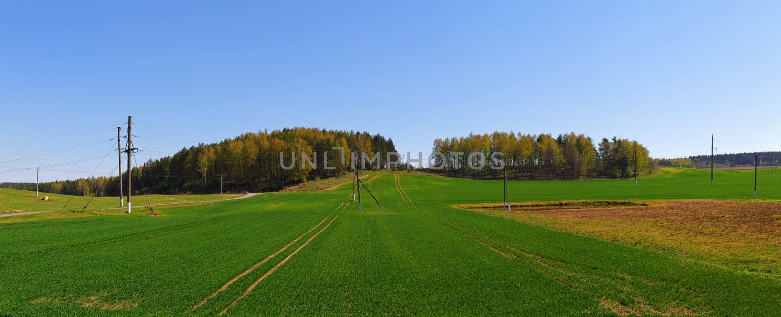 Panoramic summer landscape with blue sky, green field and forest.