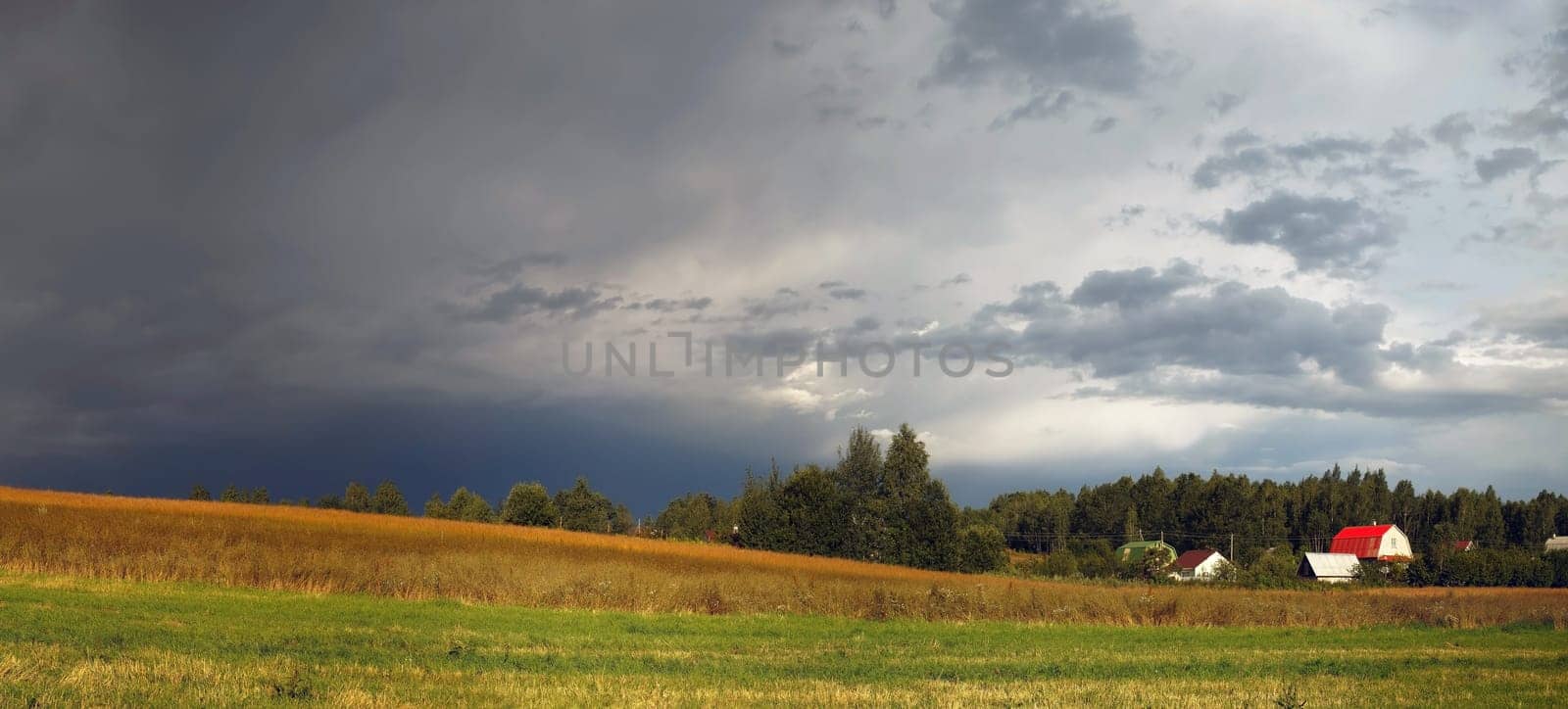 Rural landscape with a cloudy gray sky. Meadow with grass in the foreground. Rural houses and woods in the background.