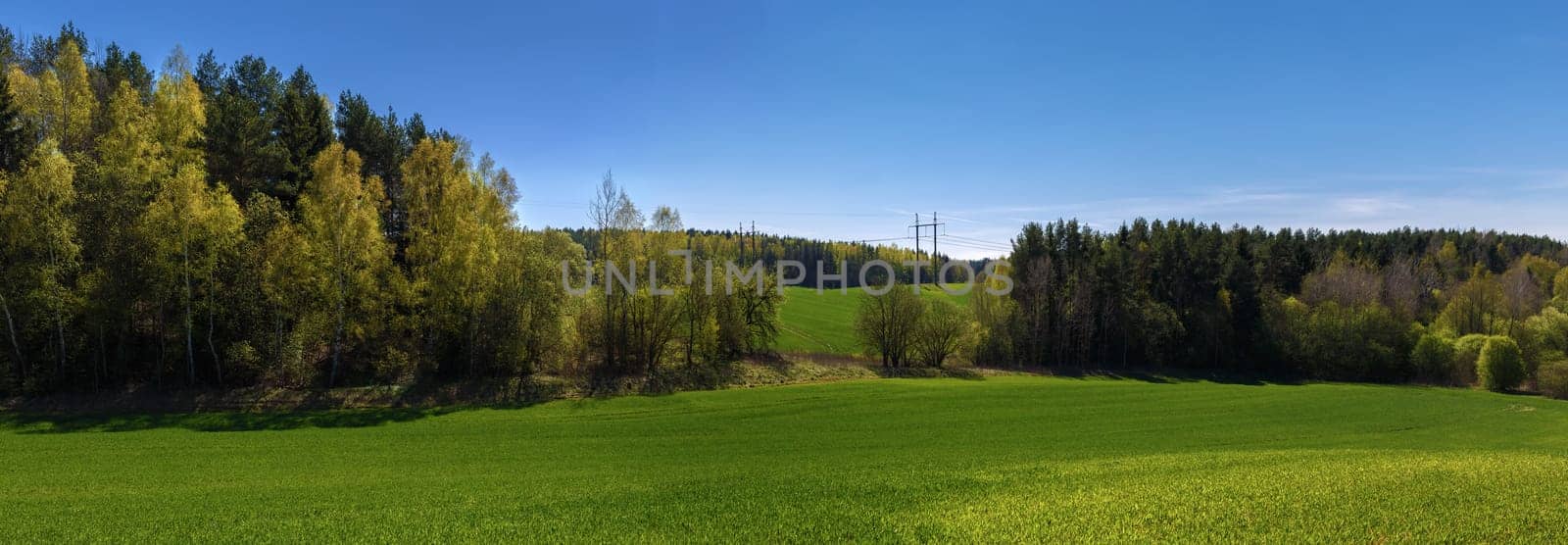 Panoramic summer landscape with blue sky, green field and forest.