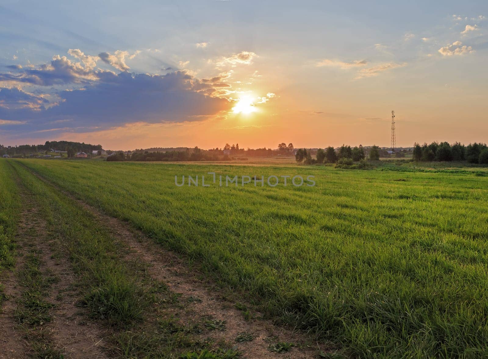The road through the meadow with green grass. Sunset in the countryside.