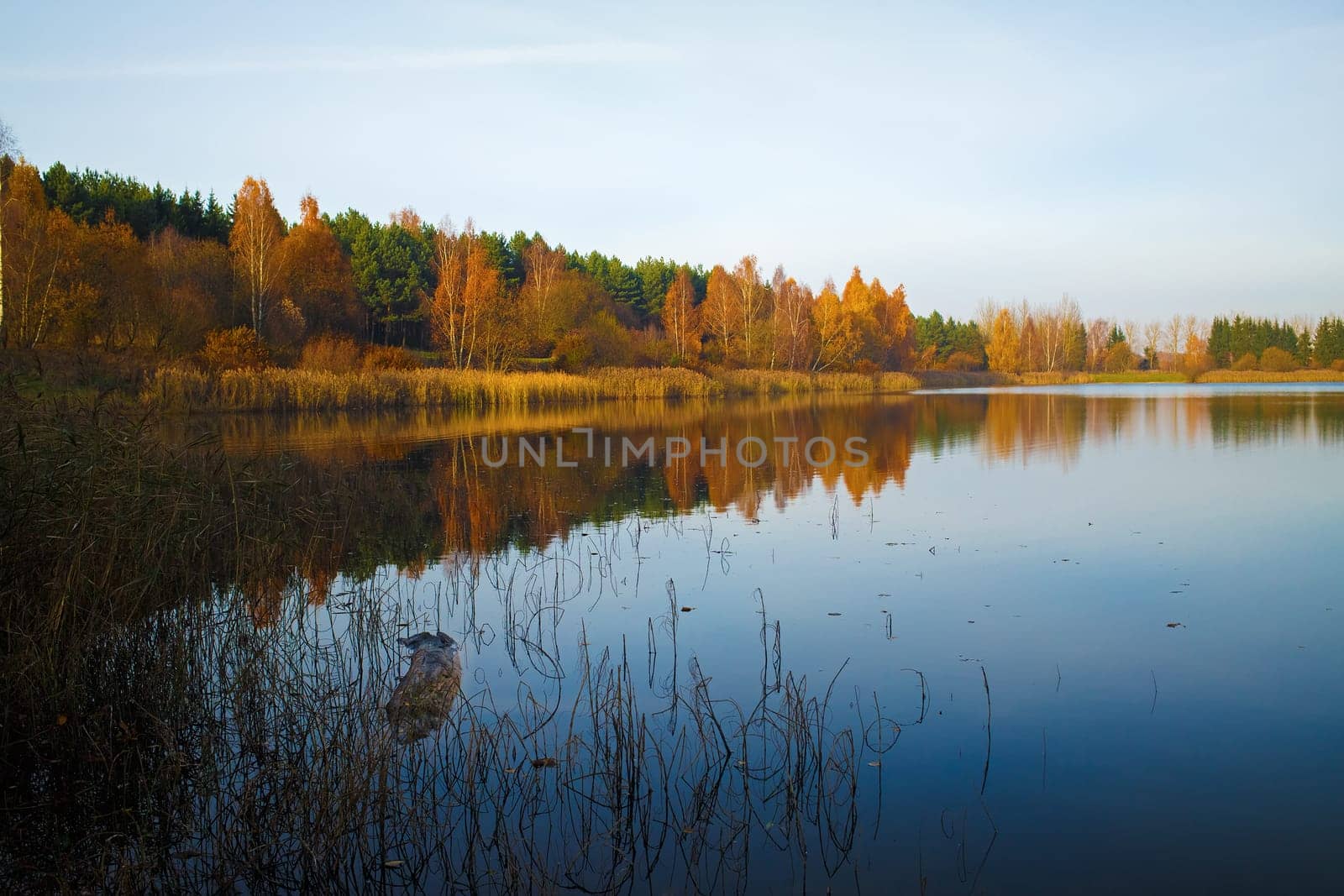 Autumn landscape with a lake. Clear sunny weather. Reflection of trees in calm water.