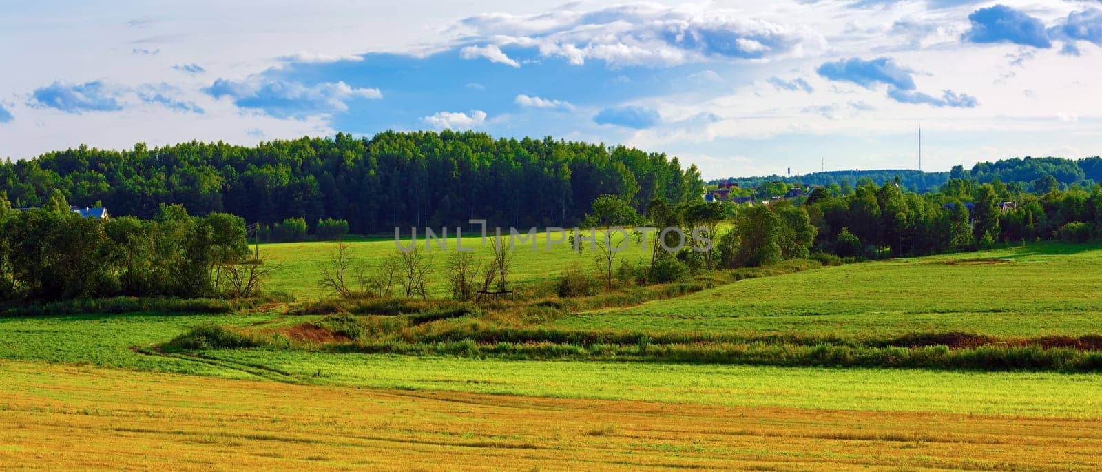 Fields, forest and sky with clouds. Rural summer landscape. Panoramic shot.