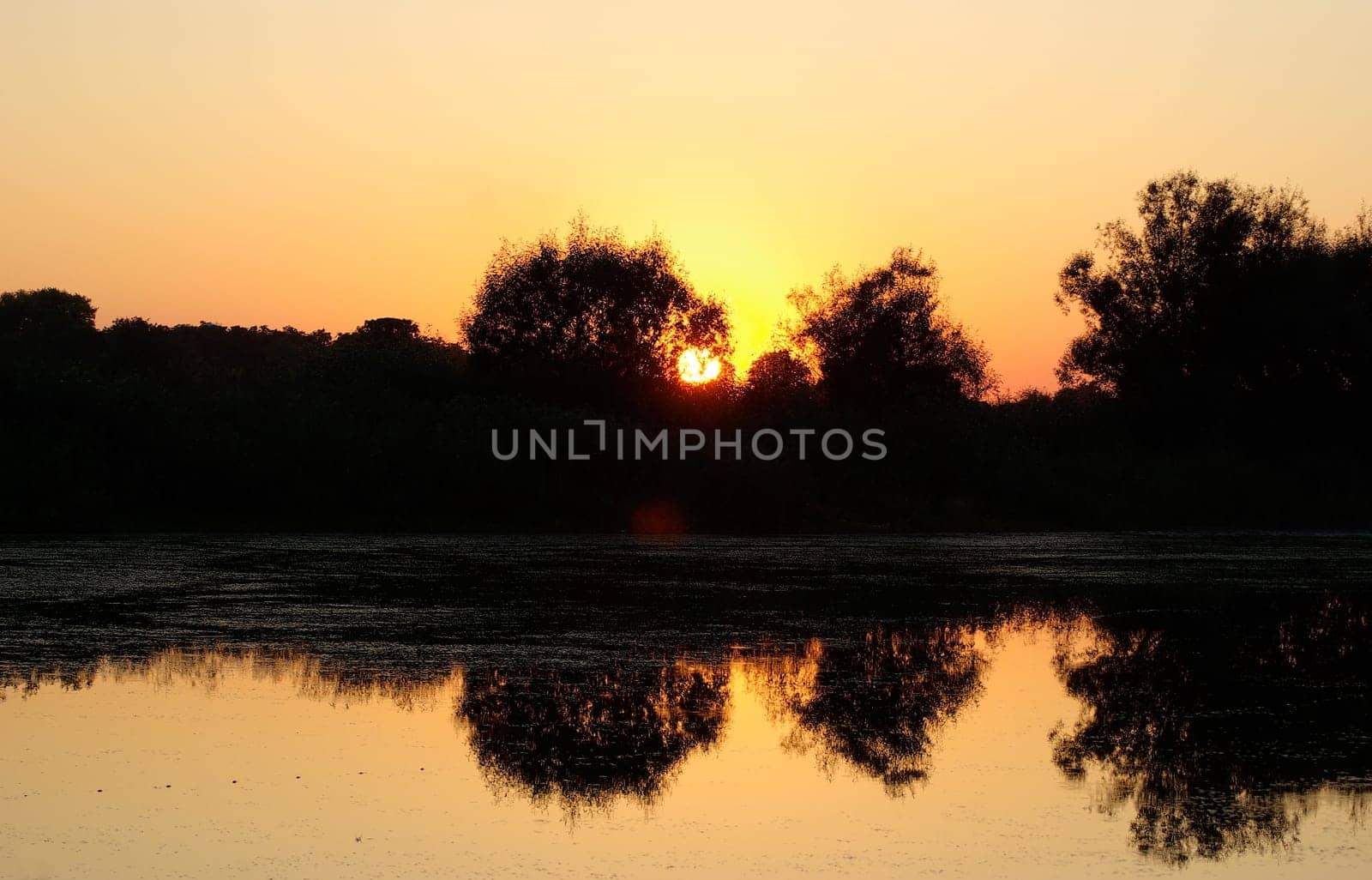 Golden warm tranquil sunset over the lake. Silhouettes of trees against the backdrop of the setting sun and a cloudless sky. The reflection in the calm water.
