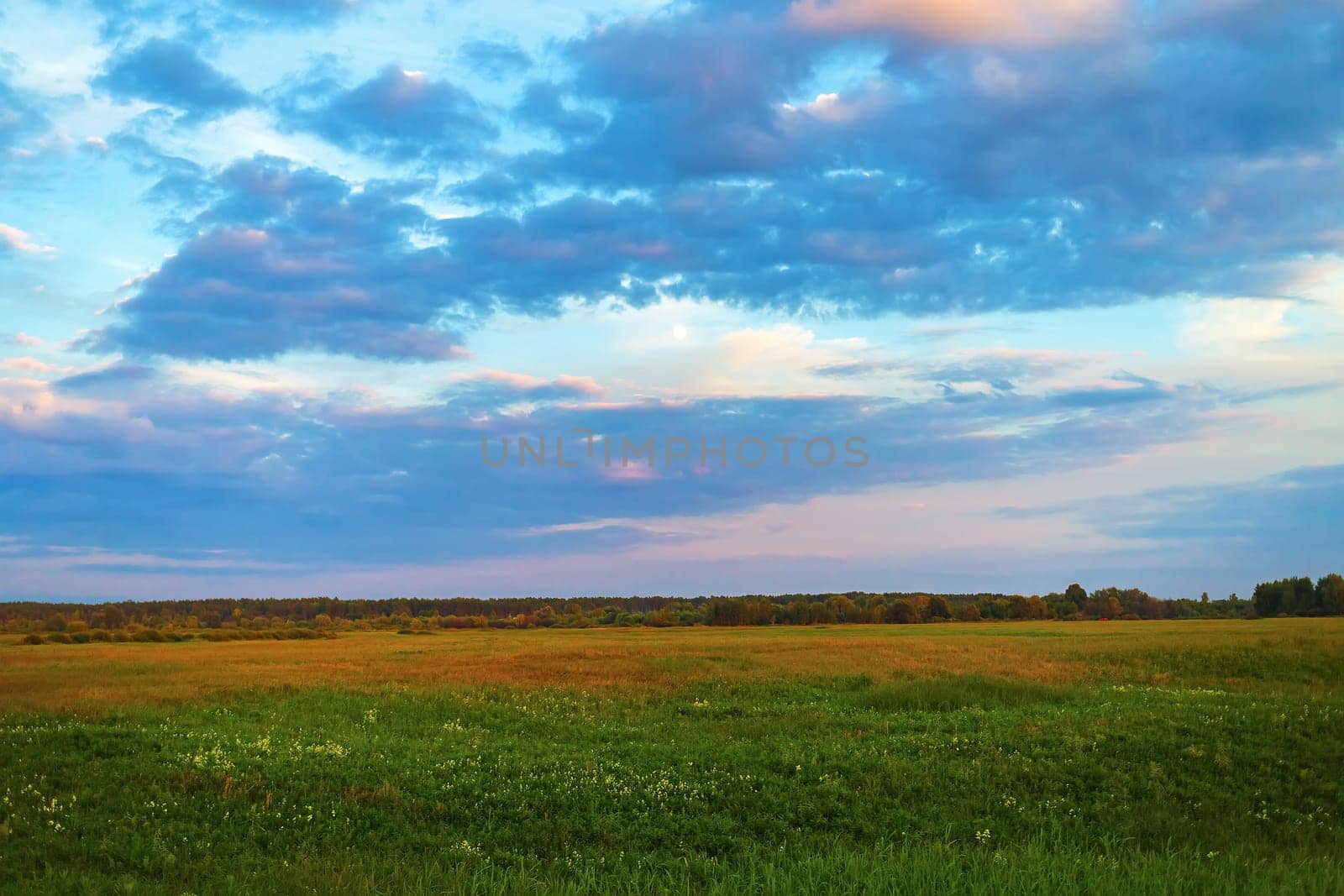 Evening rural landscape. Picturesque sky with clouds and the moon. Meadow with green grass.
