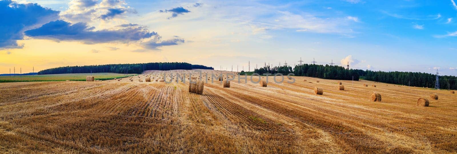 Hay bales on field. Autumn field with hay bales after harvest. Rural landscape with haystacks against the backdrop of a beautiful sunset sky. Panorama shot.