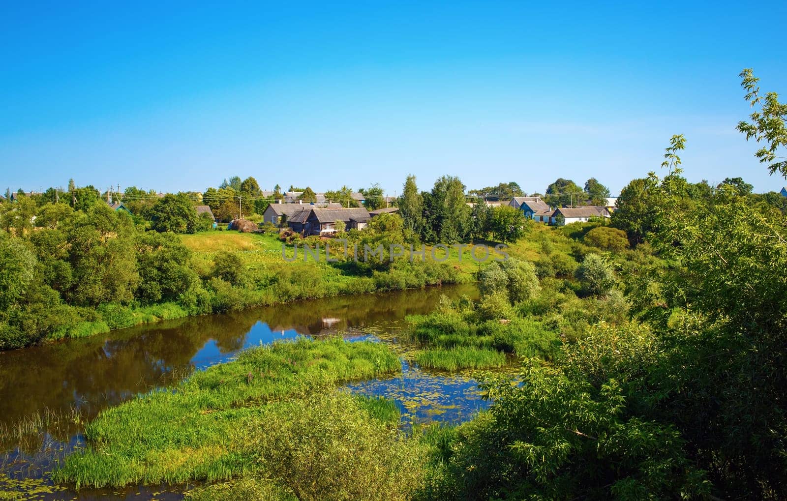 River with thickets of trees and shrubs along the banks in the countryside. Sunny summer day.