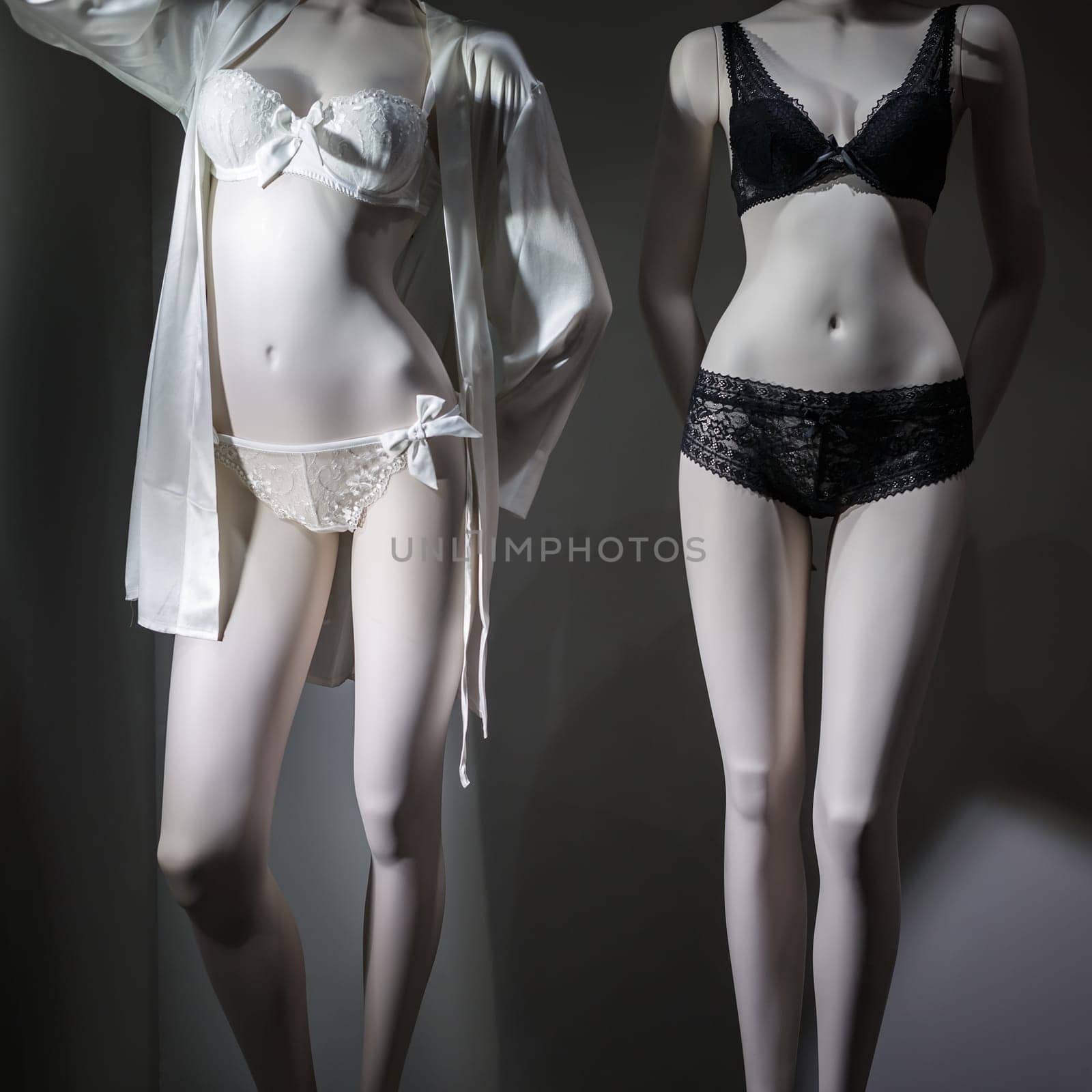 Fashion concept. Photo of two elegant female mannequins showing underwear.