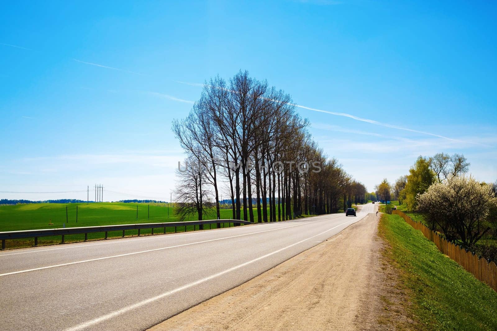 Asphalt road in the countryside on a sunny summer day. The trees on the roadside.