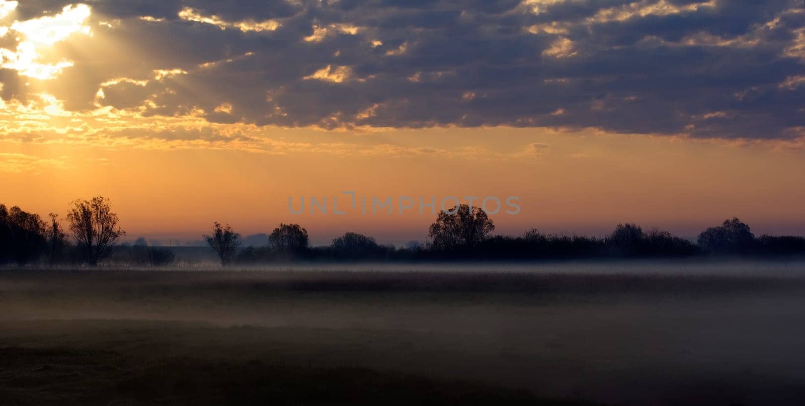 Colorful sunrise in the countryside. Foggy early morning. Twilight silhouette of trees in the background and a cloudy sky.