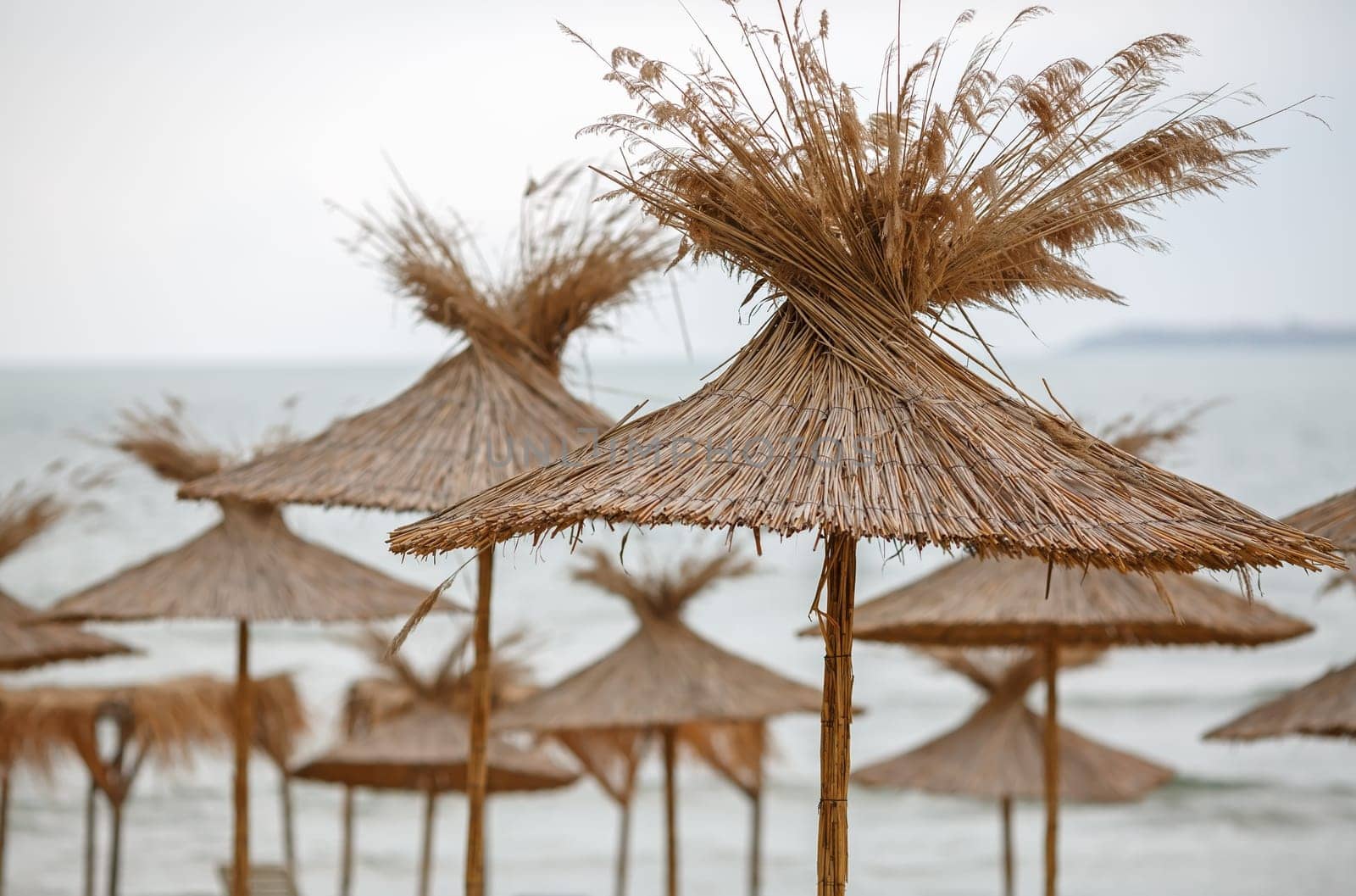 Straw beach umbrellas. Shallow depth of field.