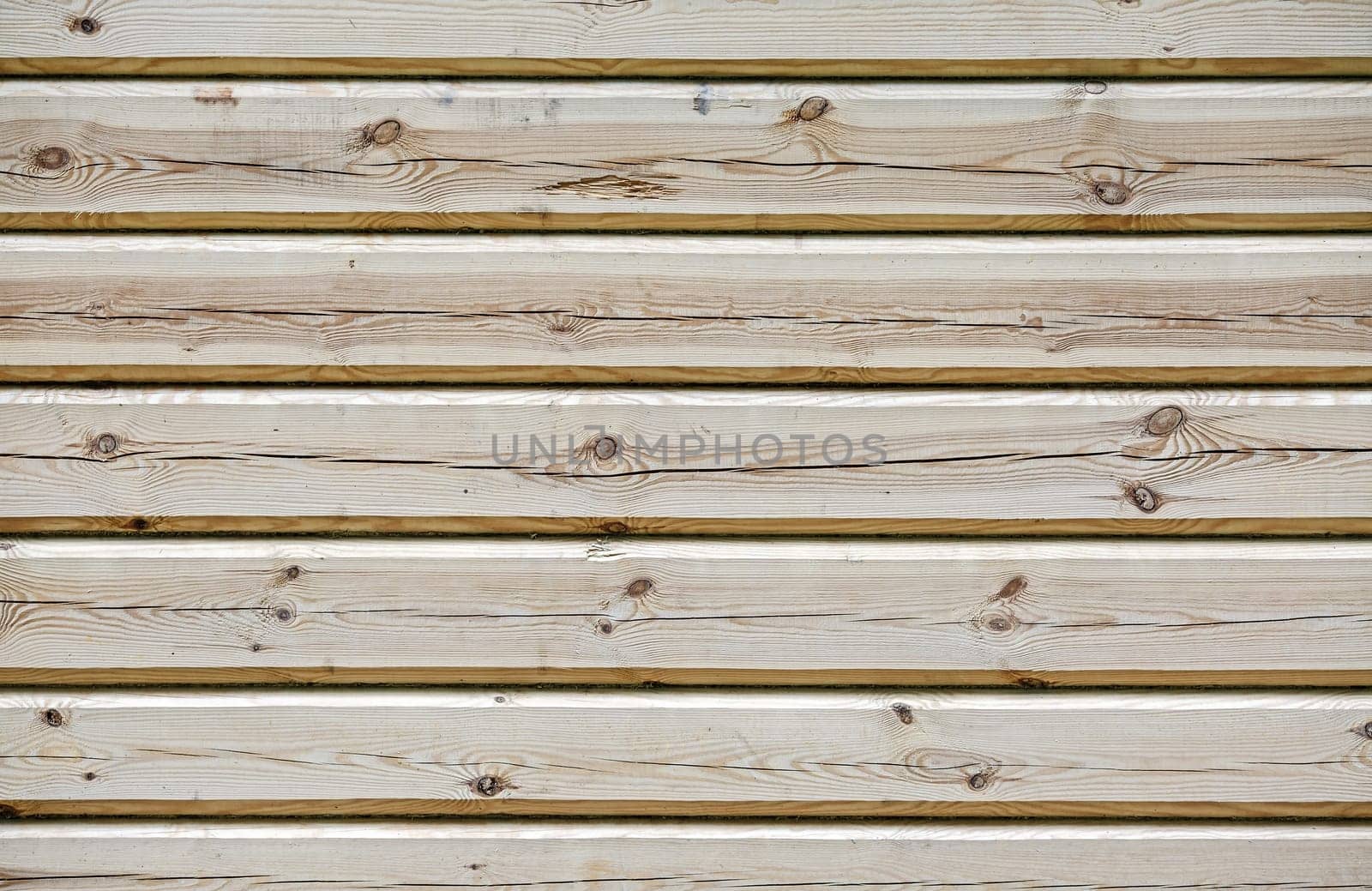 Background from log wall. Wall of wooden logs.
