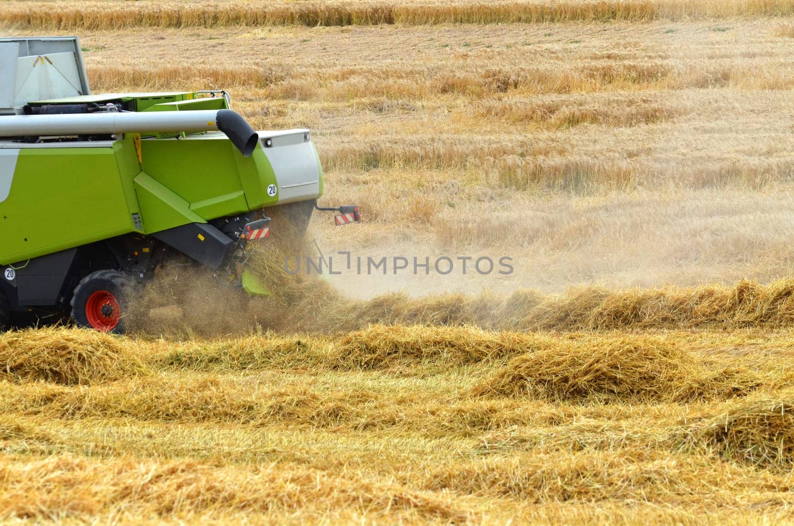 Grain harvest