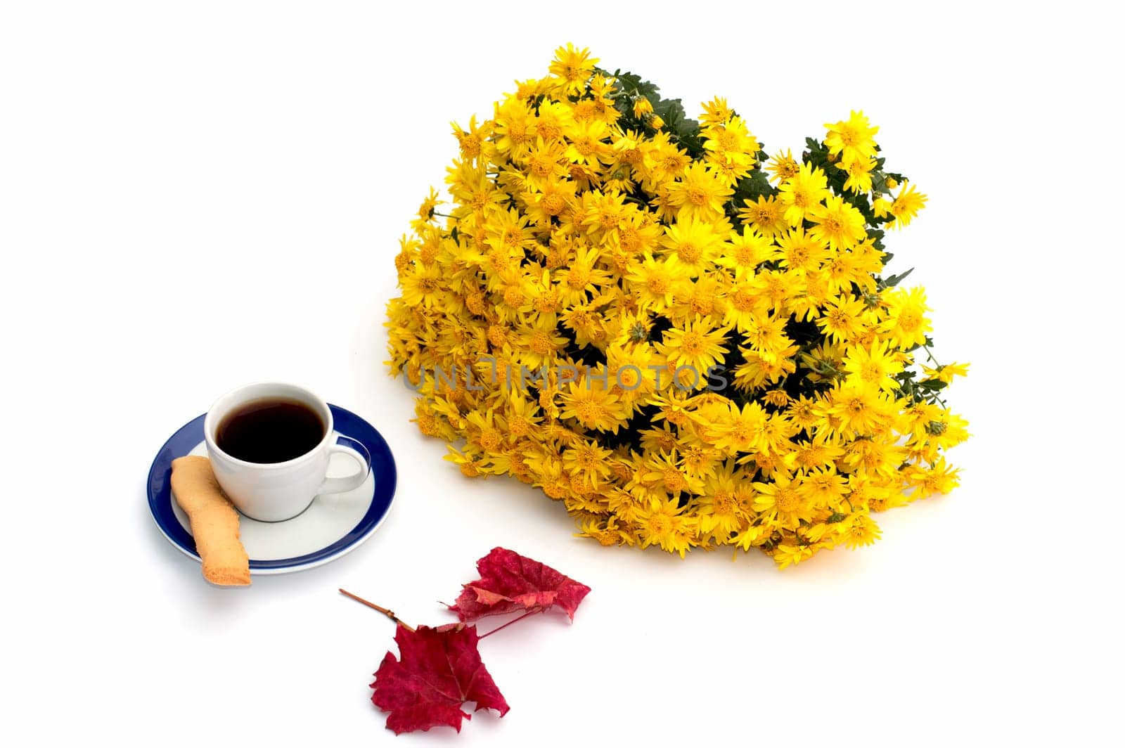 cup of coffee, beautiful autumn leaf and bouquet of flowers, isolate, subject flowers and drinks
