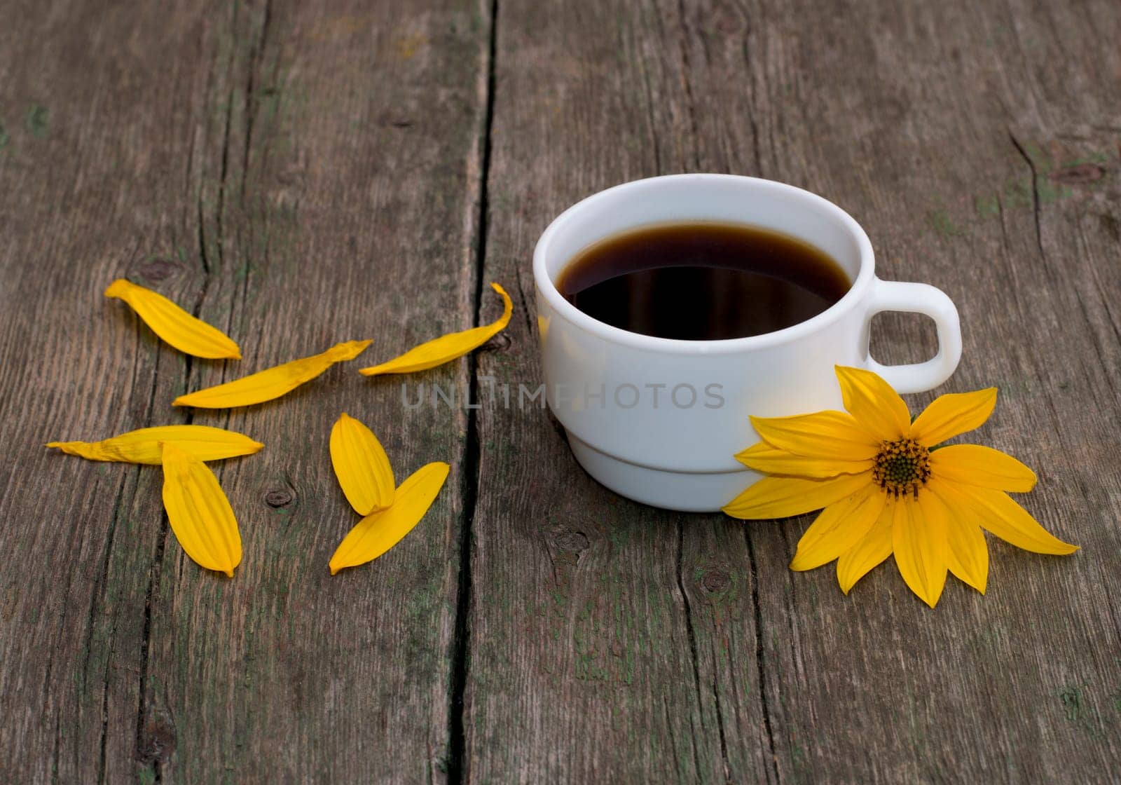 still life a white cup of coffee, a yellow flower and petals, on a wooden table, a subject flowers and drinks