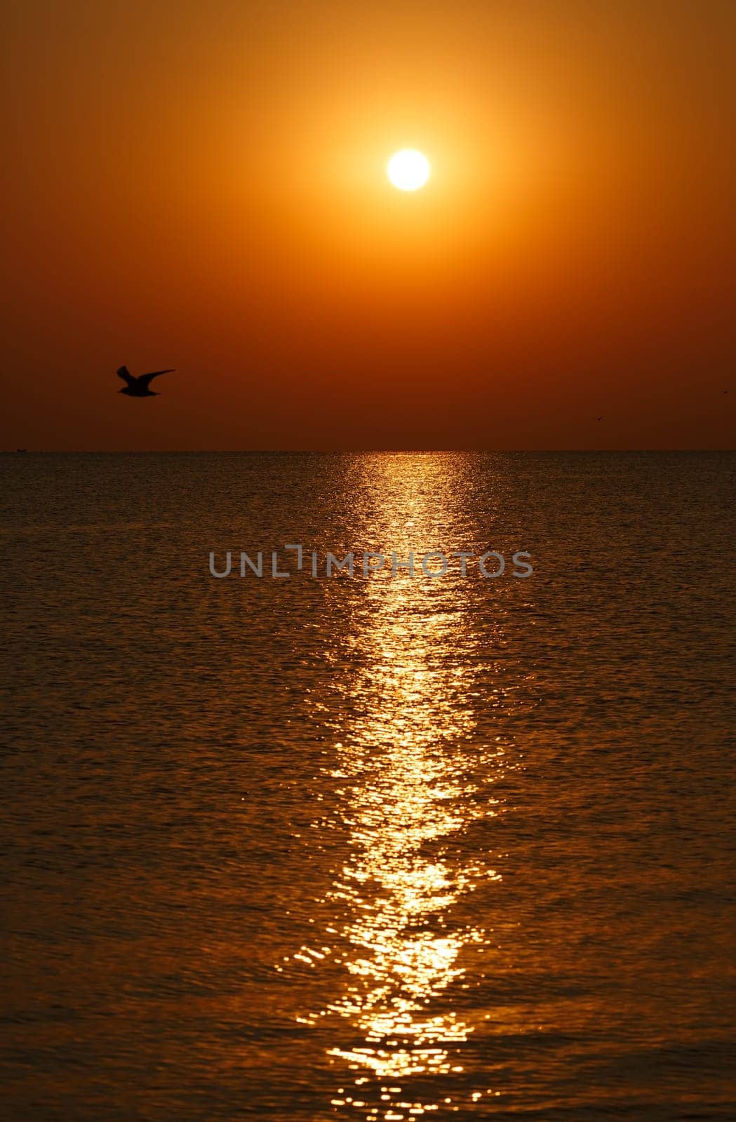 Sunrise over the sea. Sun reflection in sea.