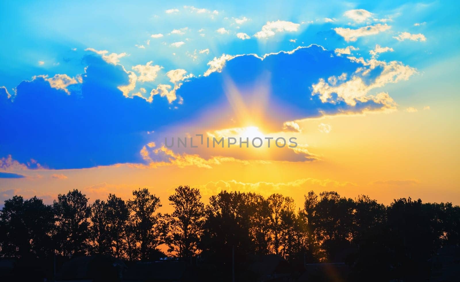 Sunset in the countryside. Bright sun and picturesque sky. Silhouettes of trees against the sky.