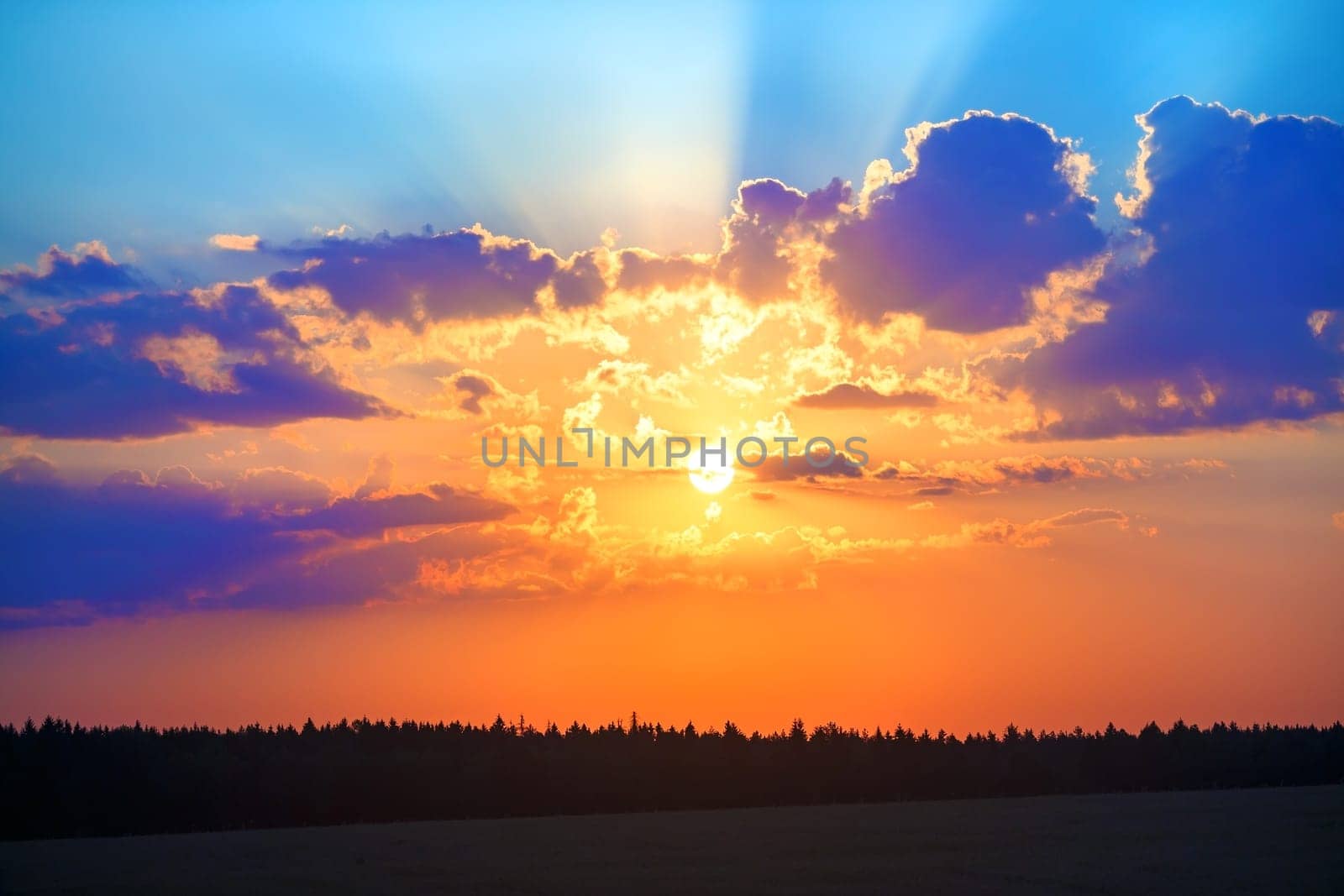 A beautiful golden sunset over the forest. Colorful scenic sky with clouds and bright sun.