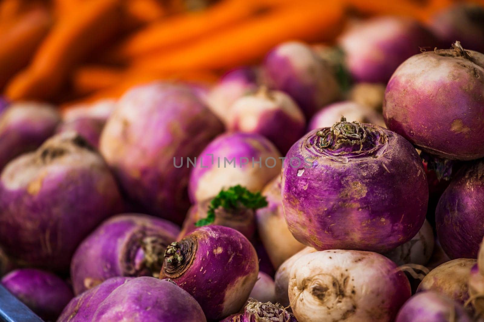 Close-up of purple and white onion background at french market