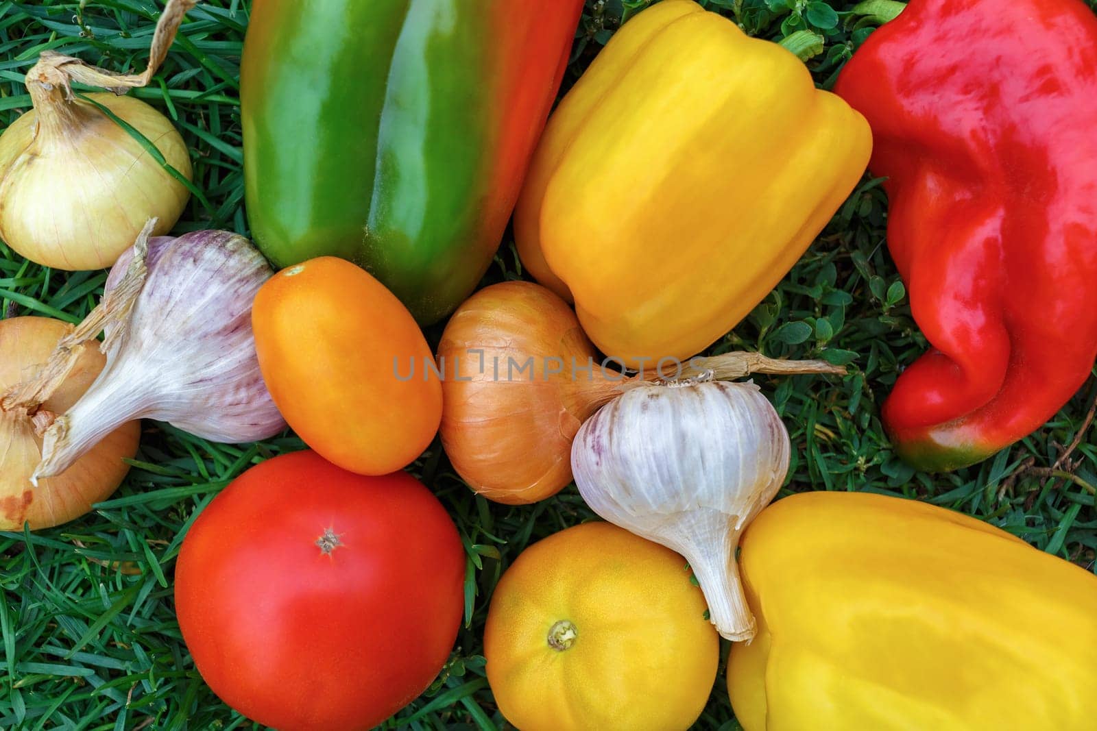 Still life. Colorful appetizing vegetables. Shallow depth of field.