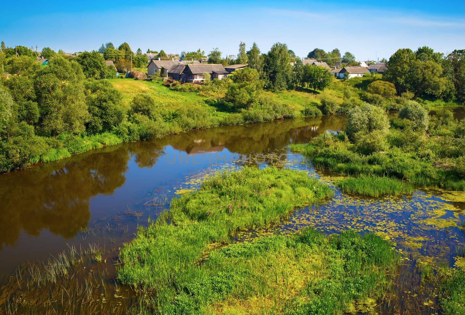 River with thickets of trees and shrubs along the banks. Sunny summer landscape. Calm surface of the water with the reflection of blue sky and vegetation.