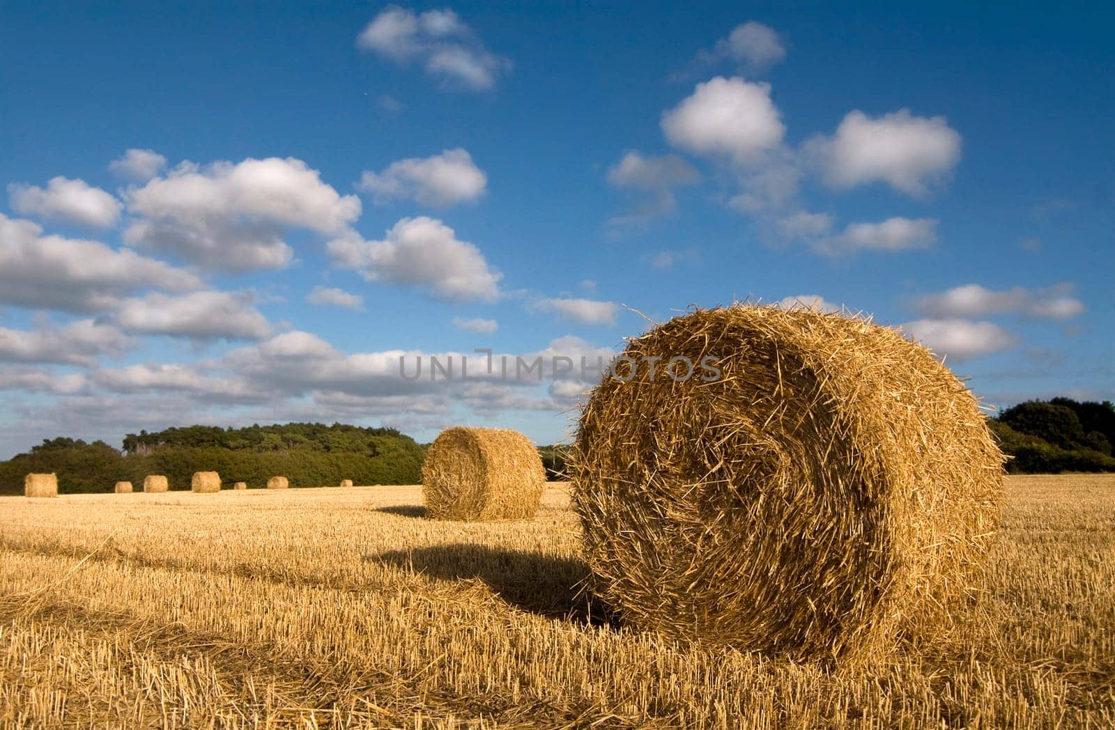 Horizontal photo of many hay rolls on a field with a forest in the background and blue sky with clouds