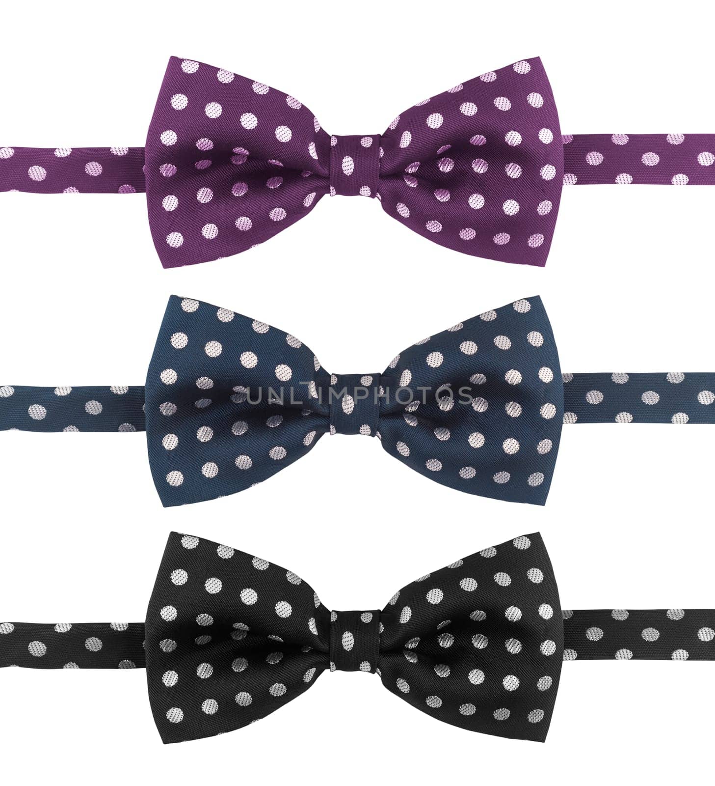 Three dotted tie bows in different colors isolated on white background