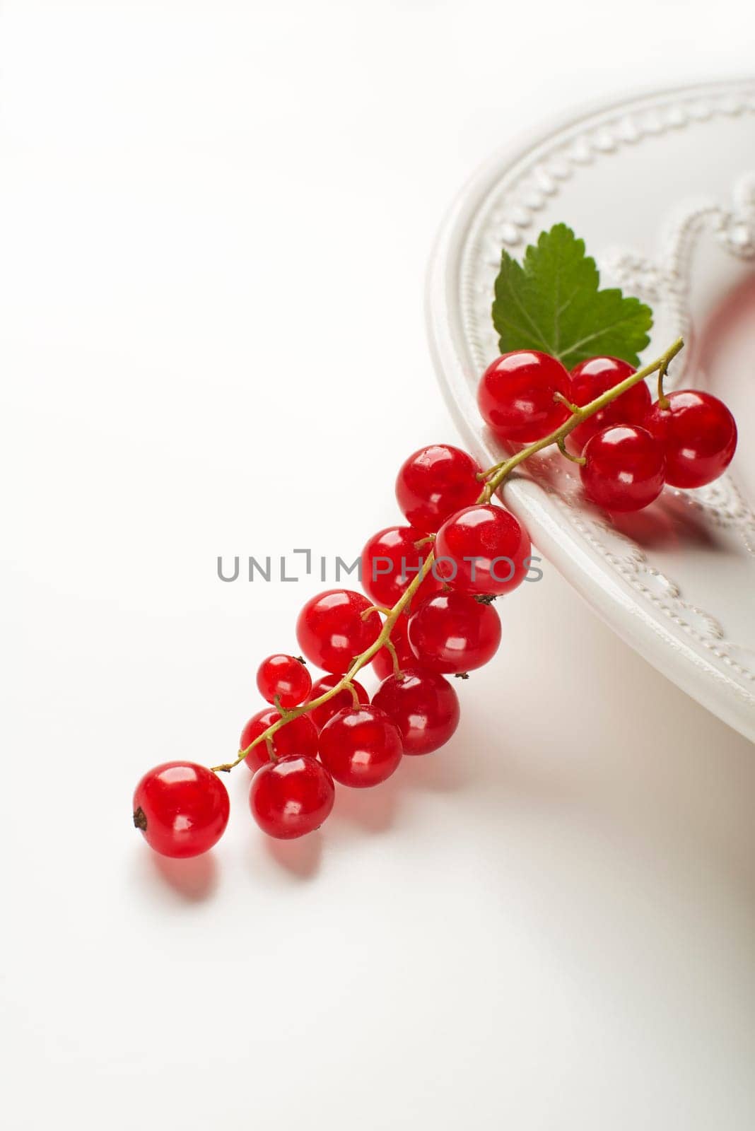 Redcurrant with leaf on white close up