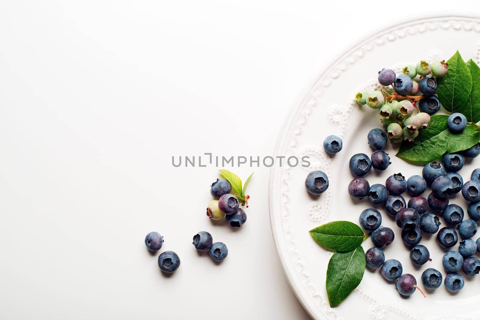Juicy and fresh blueberries with green leaves on white background