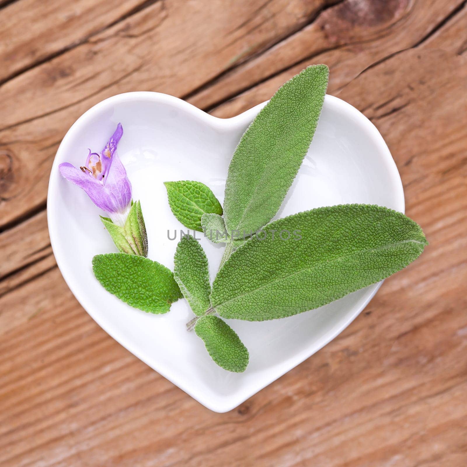 Homeopathy and cooking with medicinal herbs,sage
